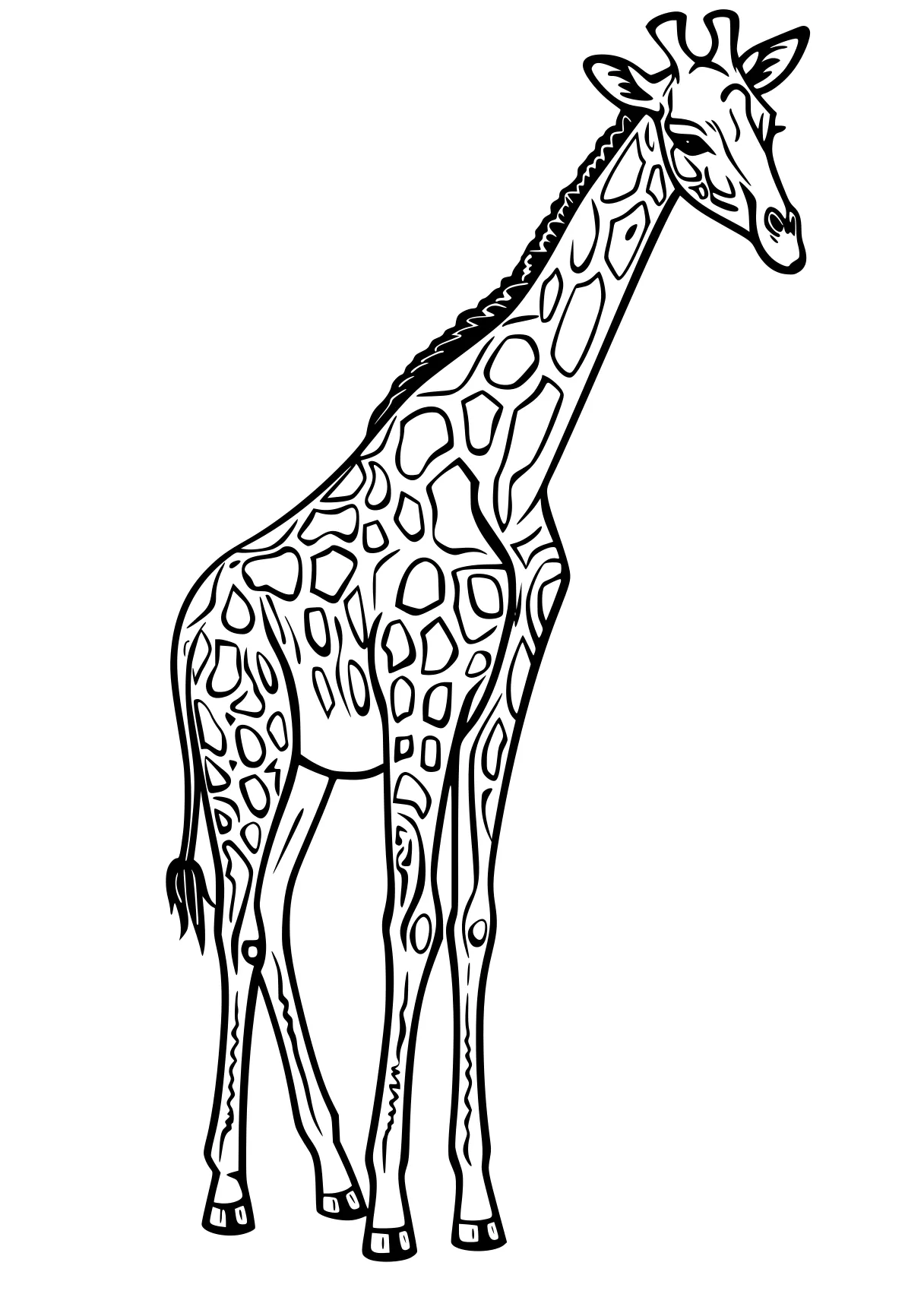 giraffe coloring pages giraffe, brachiosaurus, llama, camel, horse, free page downloads