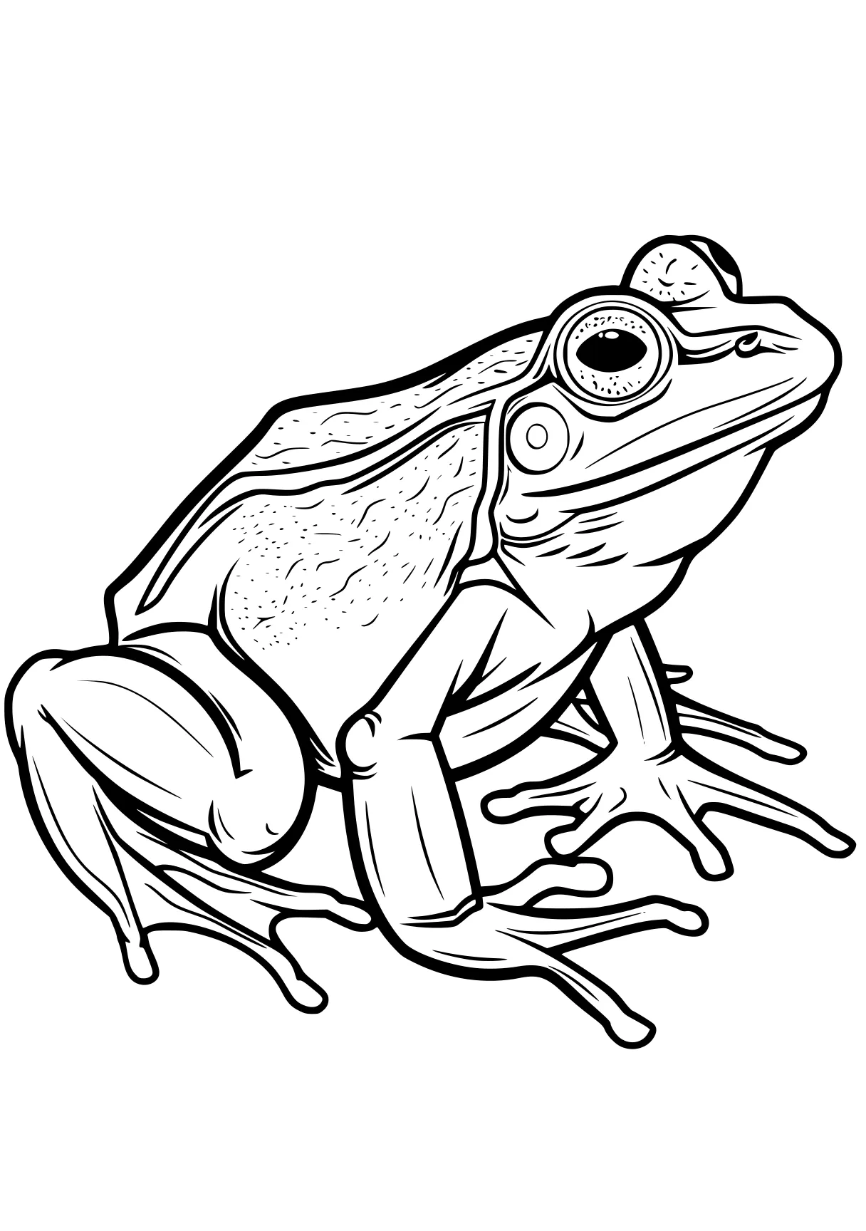 frog coloring pages frog, toad, tayo, madagascar, adult, free page downloads