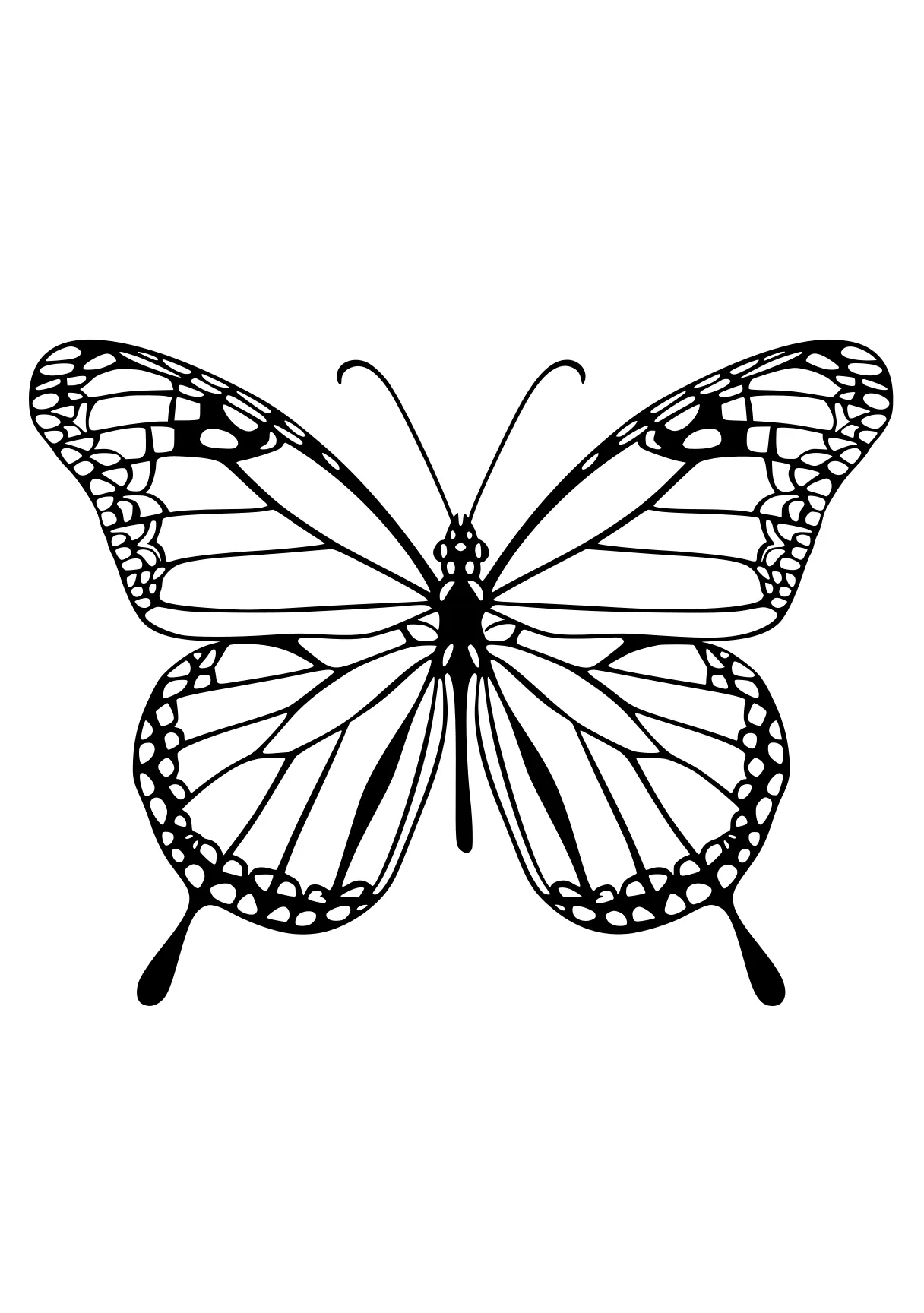 butterfly coloring sheet butterfly, butterflies, insect, insects, illustrator, free page downloads