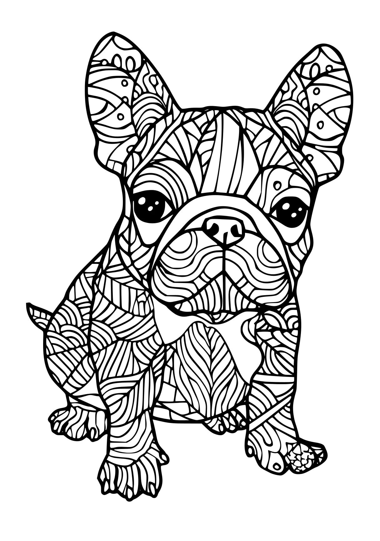 animal coloring pages for adults bulldog, rhino, pug, free page downloads