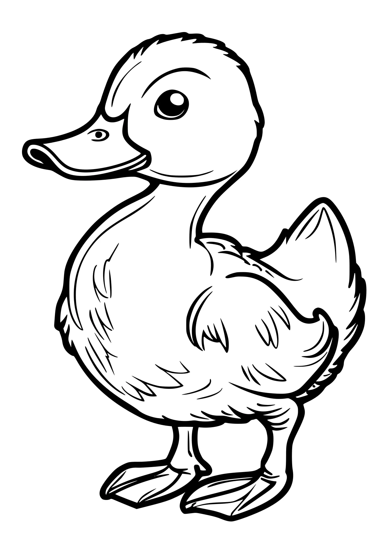 duck coloring page duck, bird, crane, chick, donald, free downloads