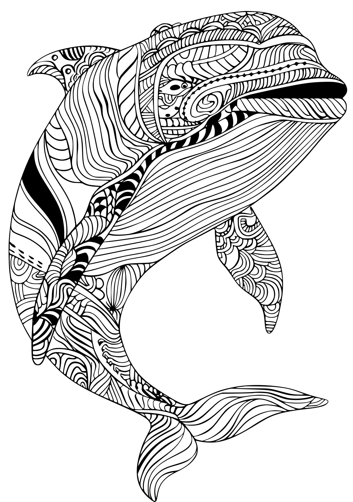 ocean animals coloring pages orca, zentangle, whale, free page downloads