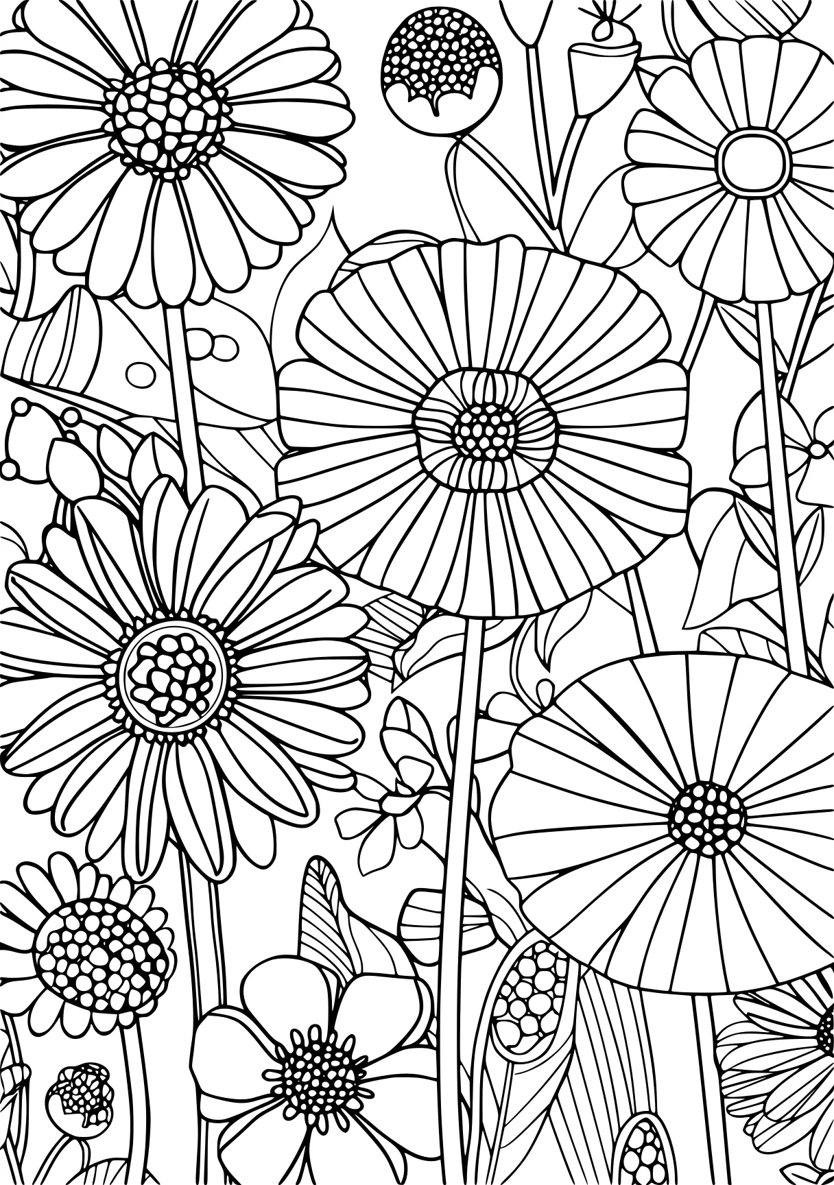 flower coloring pages for adults, zentangle, pattern, printables, free page downloads