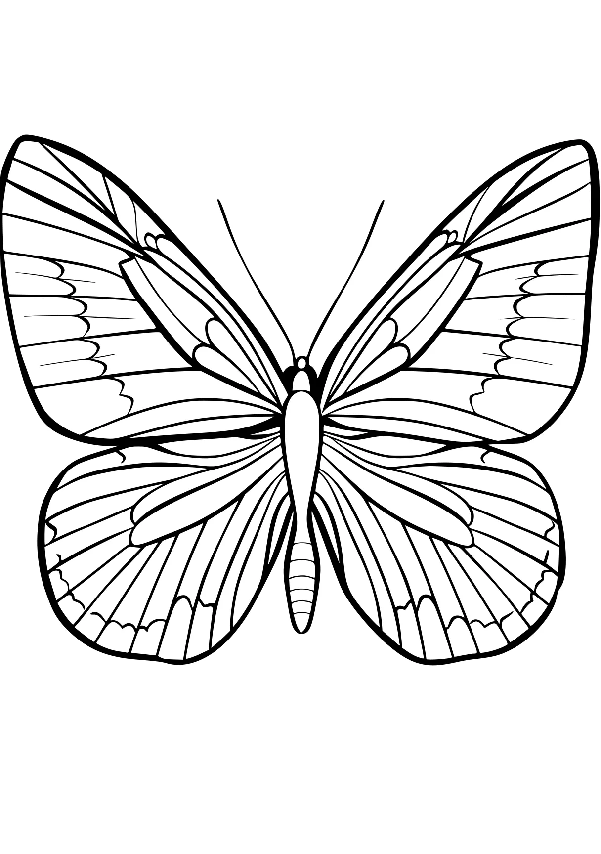 butterfly coloring sheet butterfly, insect, adult, butterflies, insects, free page downloads