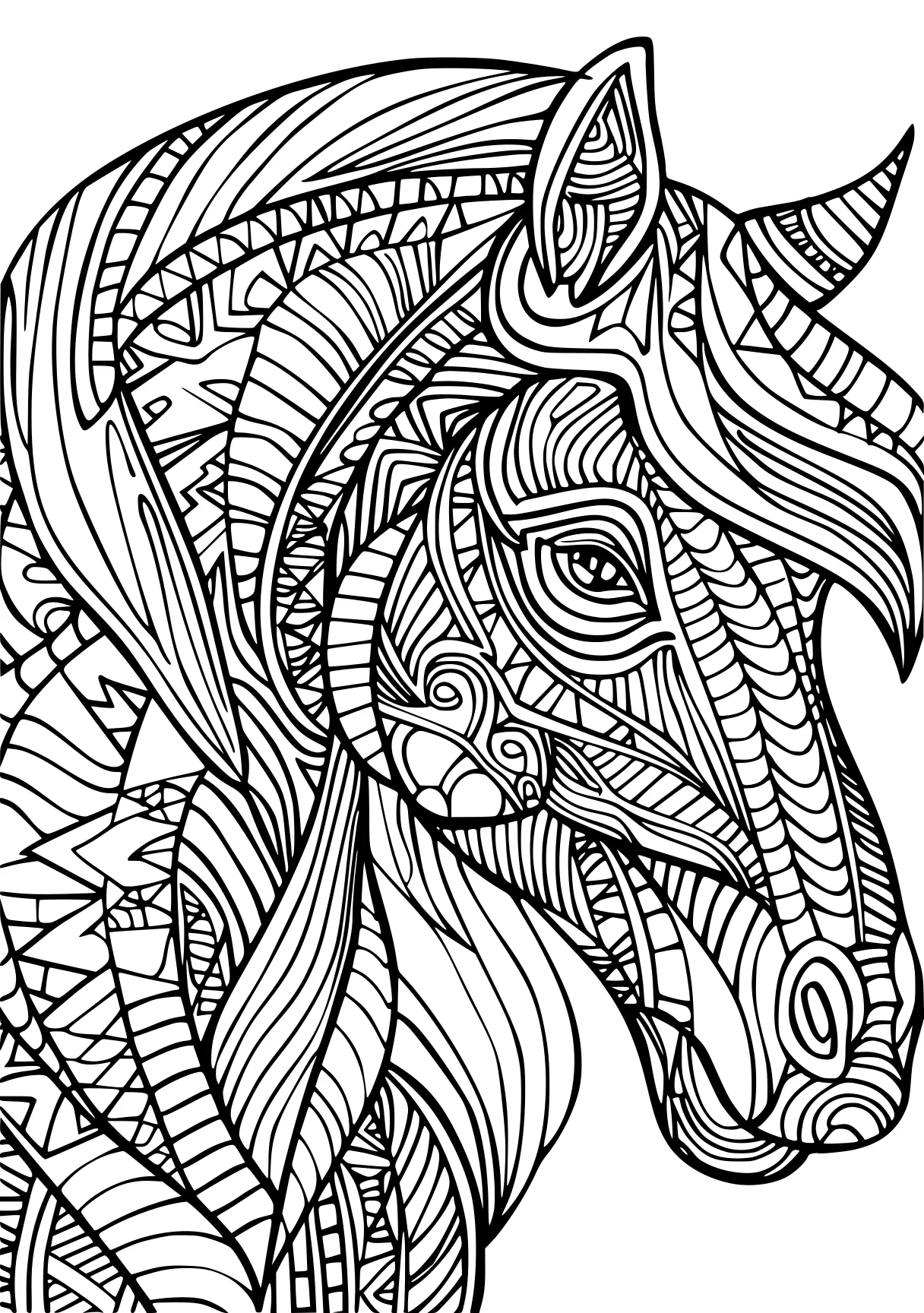 amazon coloring books for adults zentangle, colouring, mandalas, free page downloads