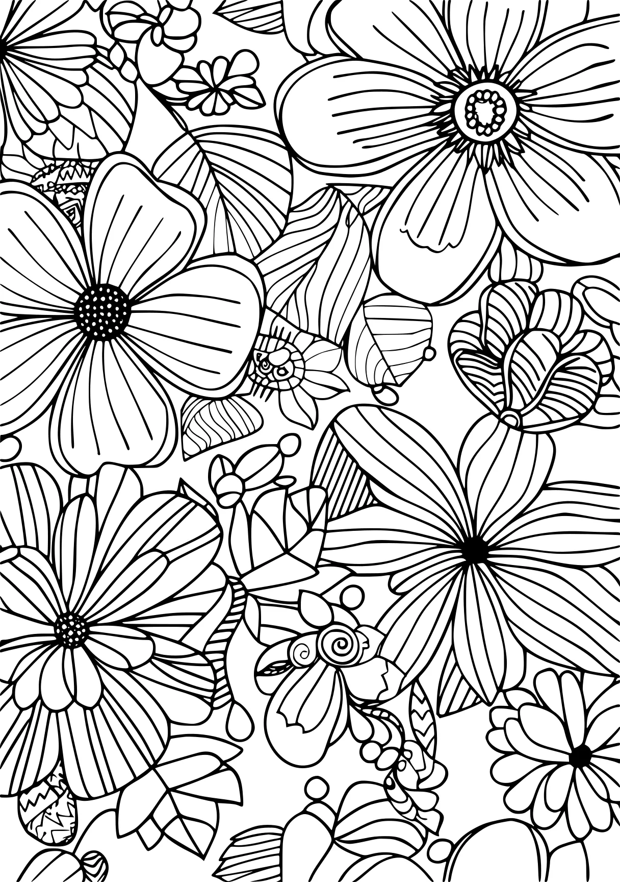 coloring pages printable adult, pattern, patterns, floral, free page downloads