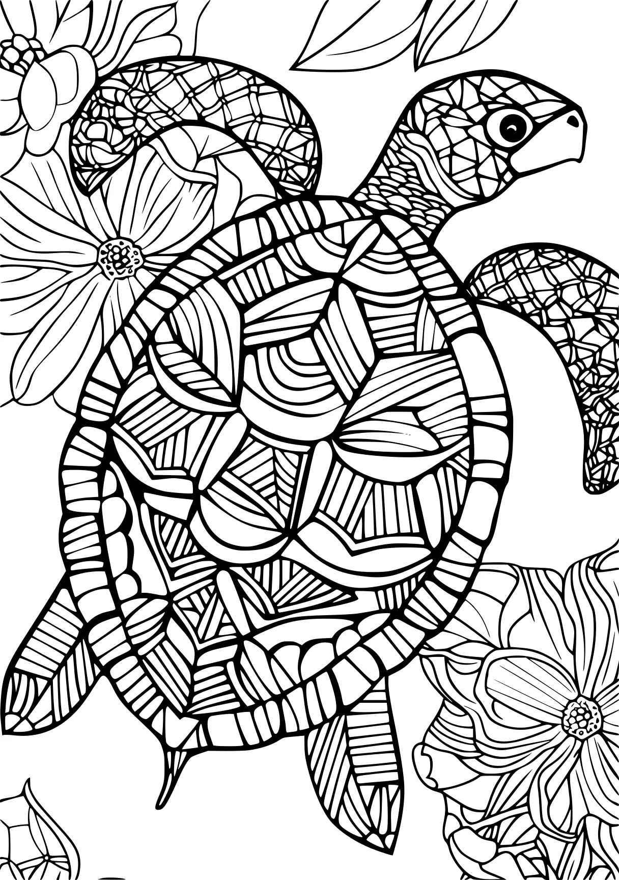 coloring pages for adults animals zentangle, turtle, turtles, free page downloads