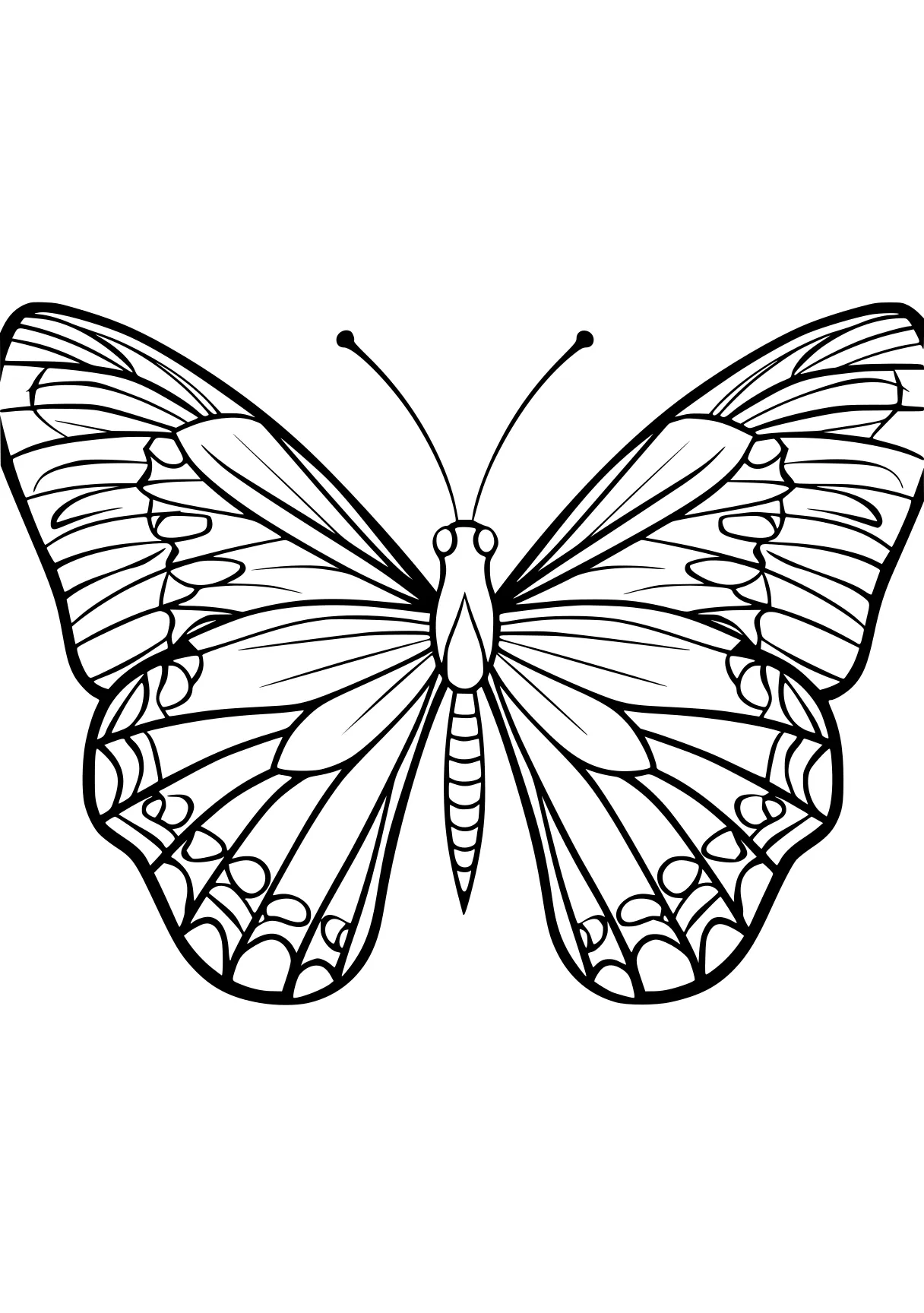 butterfly coloring pages butterfly, butterflies, adult, insect, insects, free page downloads