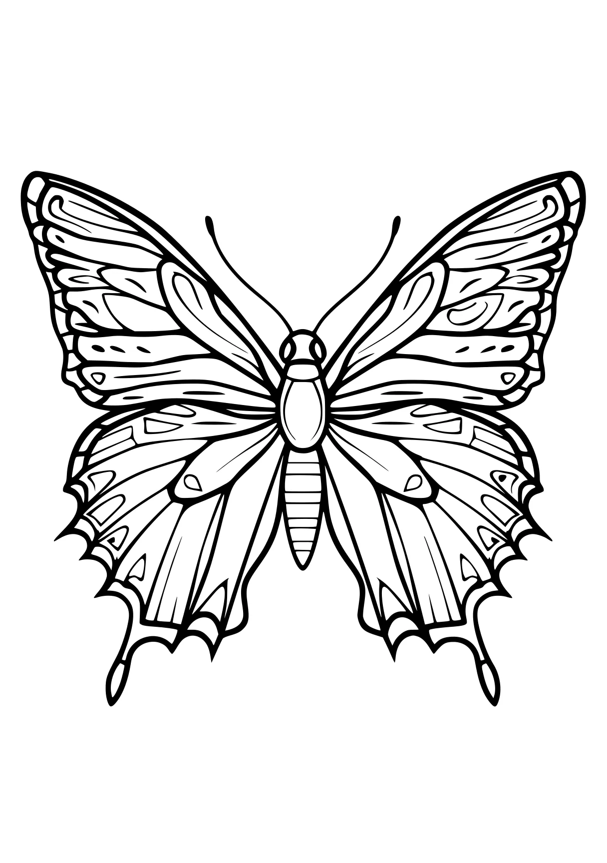 butterfly coloring sheet butterfly, butterflies, insect, insects, wings, free page downloads