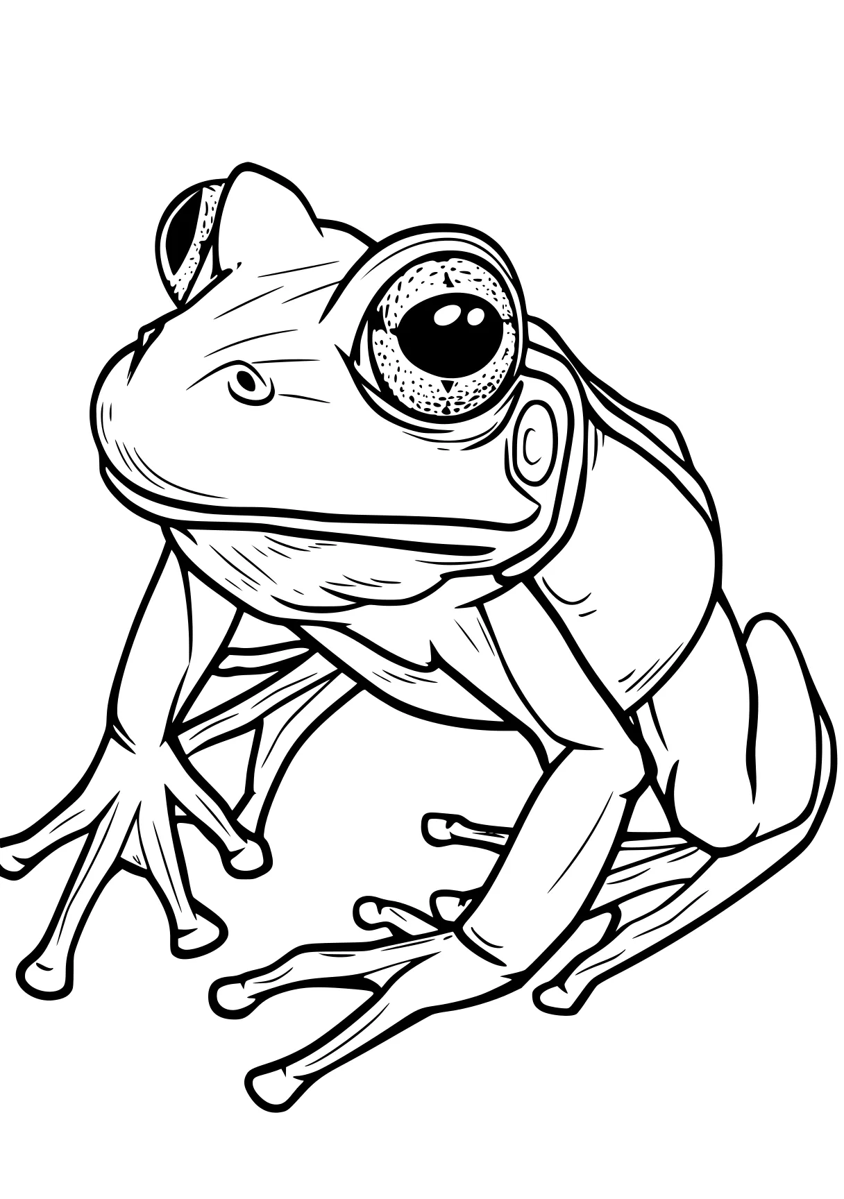 frog coloring sheet frog, toad, poop, free page downloads