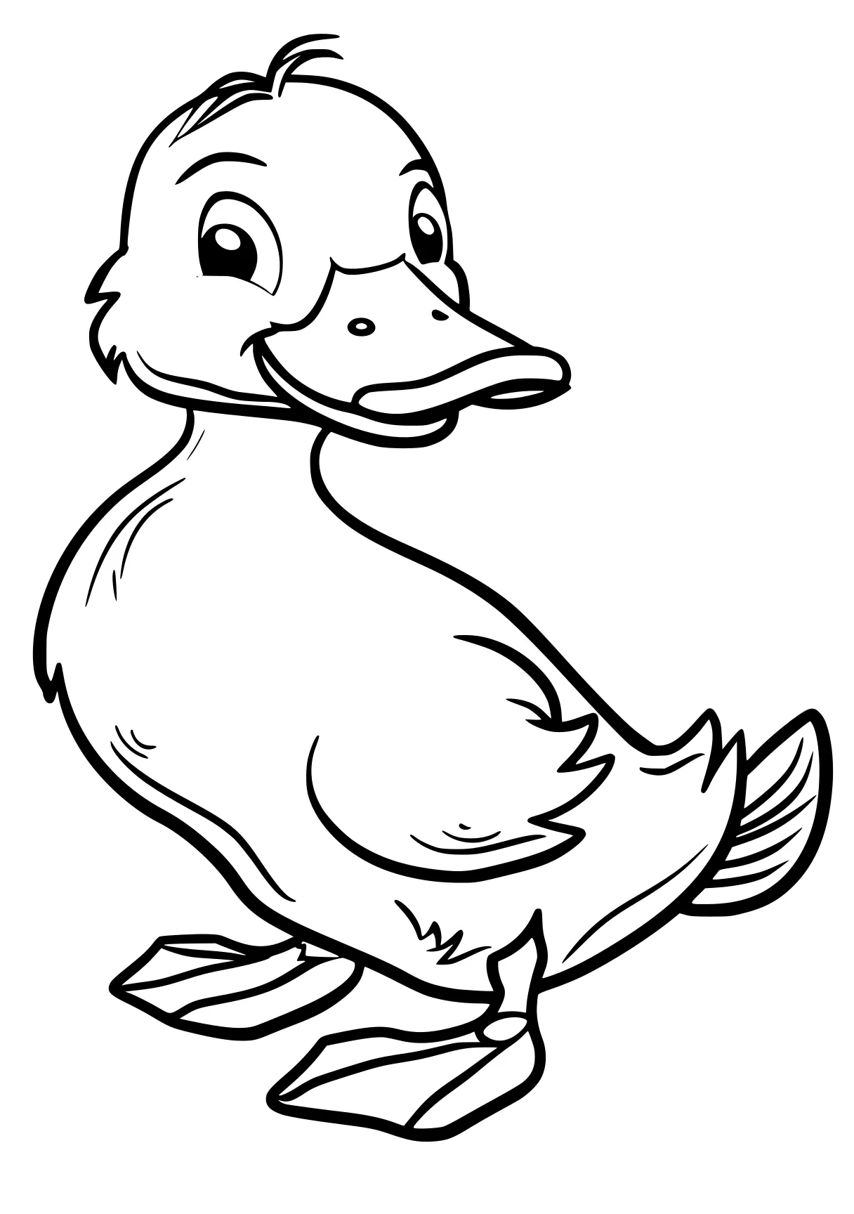 duck coloring page duck, donald, bird, chick, free downloads