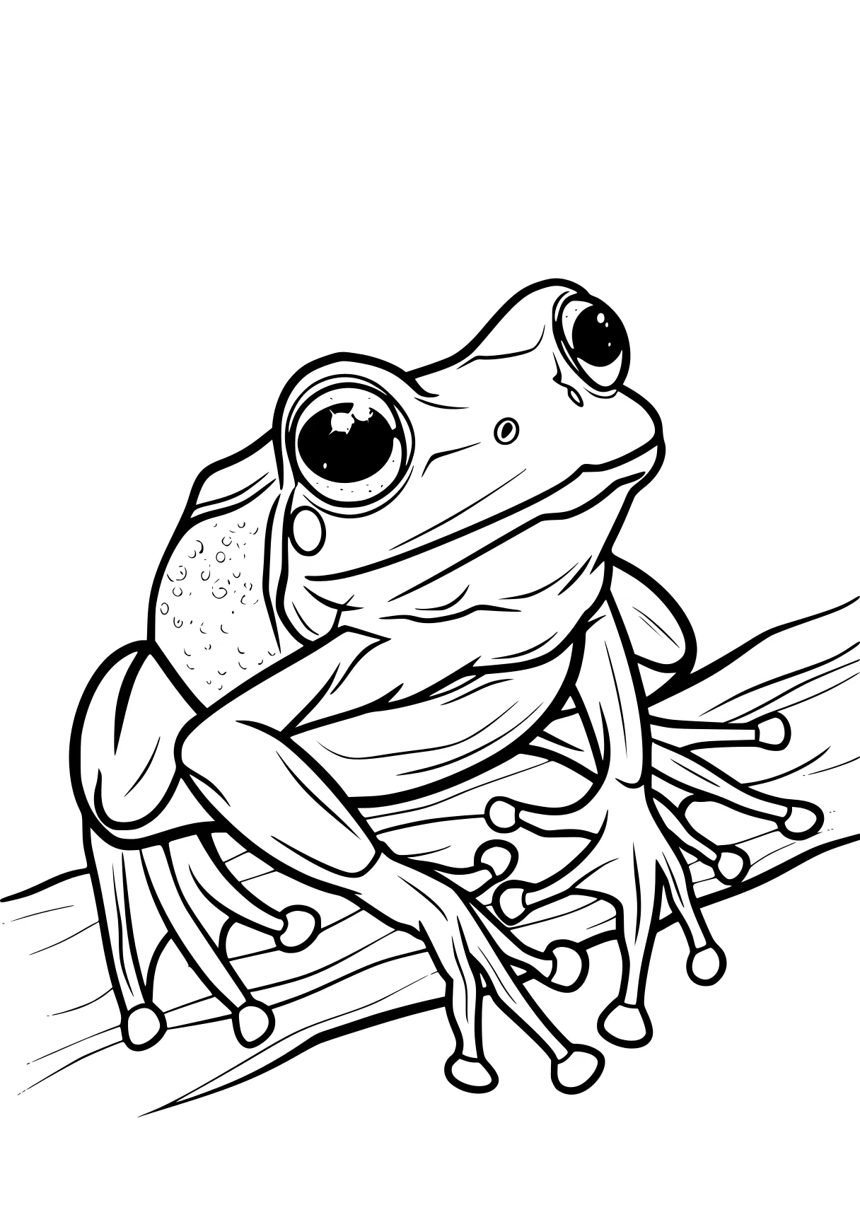 frog coloring sheet frog, toad, gecko, free page downloads