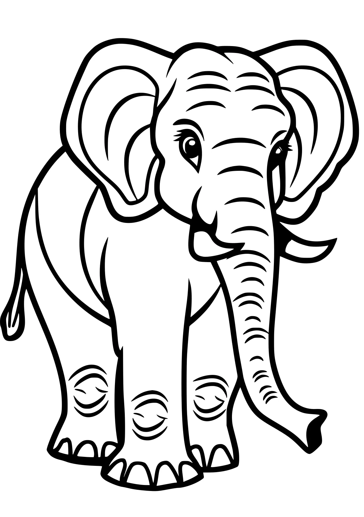 elephant coloring sheet elephant, dumbo, size, illustrator, zooba, free page downloads