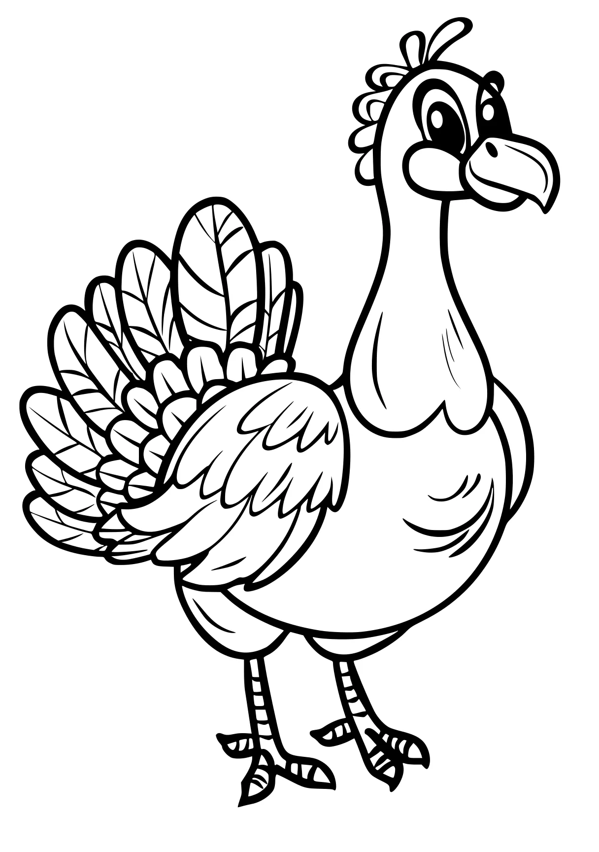 turkey coloring sheet rooster, turkey, bird, thanksgiving, chick, free page downloads