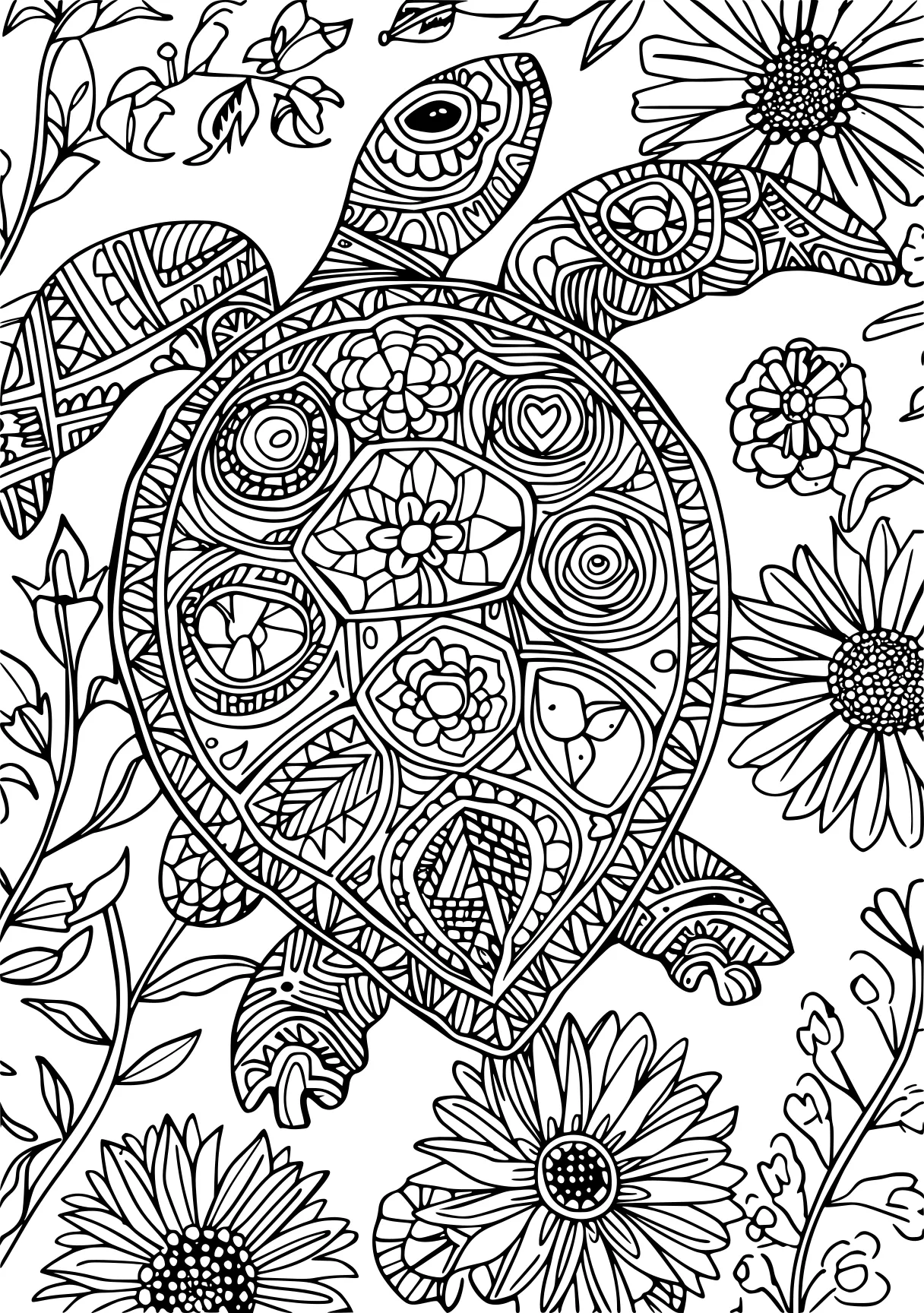 best coloring books for adults, zentangle, mandalas, turtle, free page downloads