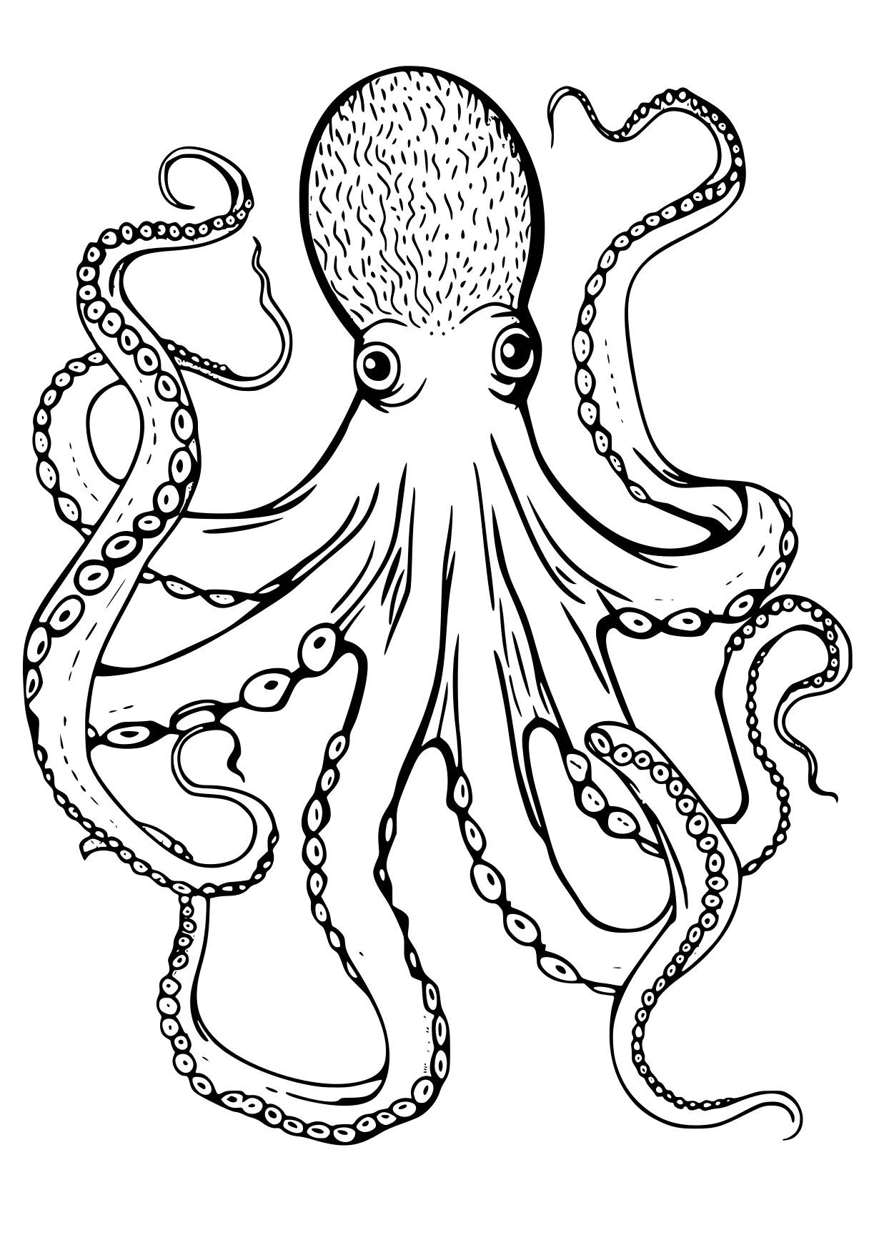 octopus coloring page octopus, size, jellyfish, patrol, illustrator, free downloads