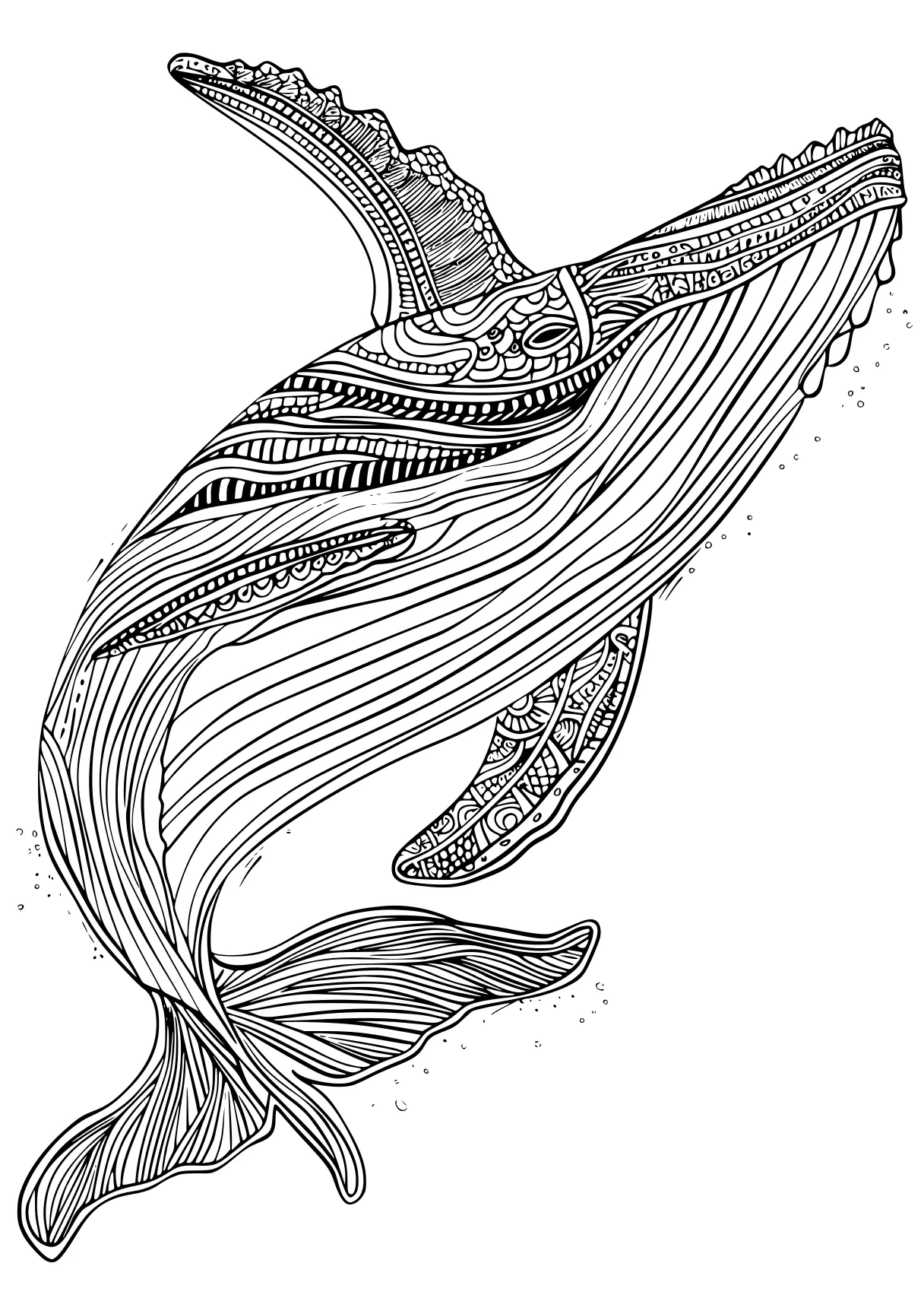 whale coloring pages fish, whale, mermaid, siren, peacock, free page downloads