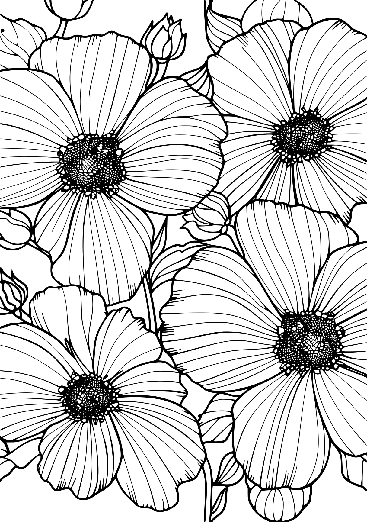 adult coloring pages printable zentangle, pattern, patterns, free page downloads