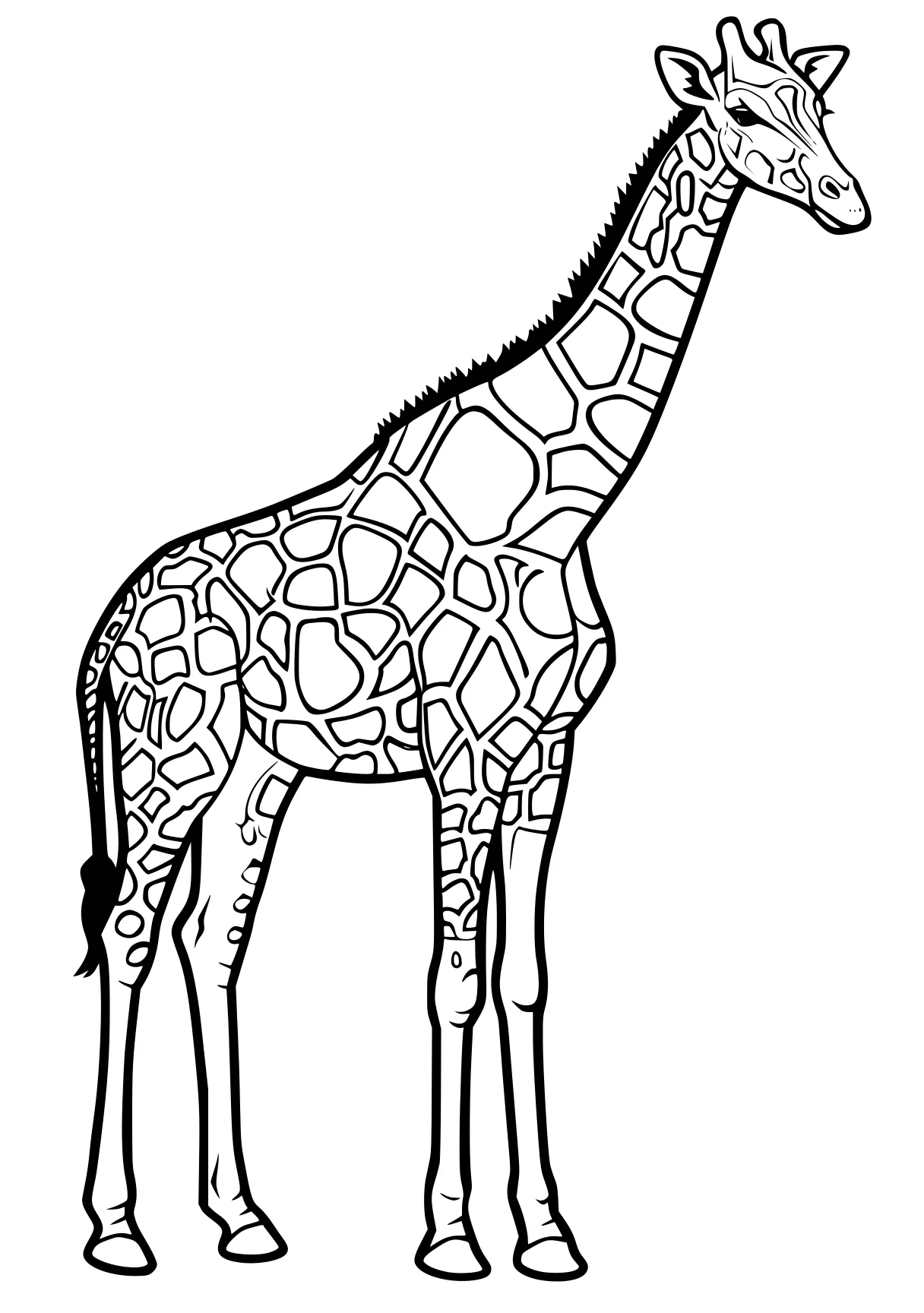 giraffe coloring pages giraffe, brachiosaurus, llama, camel, zebra, free page downloads