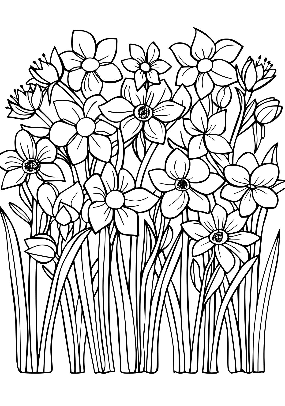 spring time coloring pages, tulip, flowers, zentangle, free page downloads