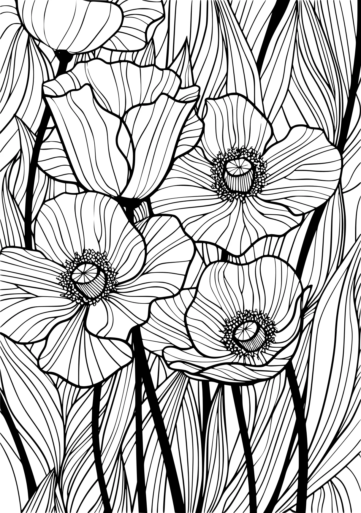 adult coloring book pages, zentangle, flowers, colouring, free page downloads