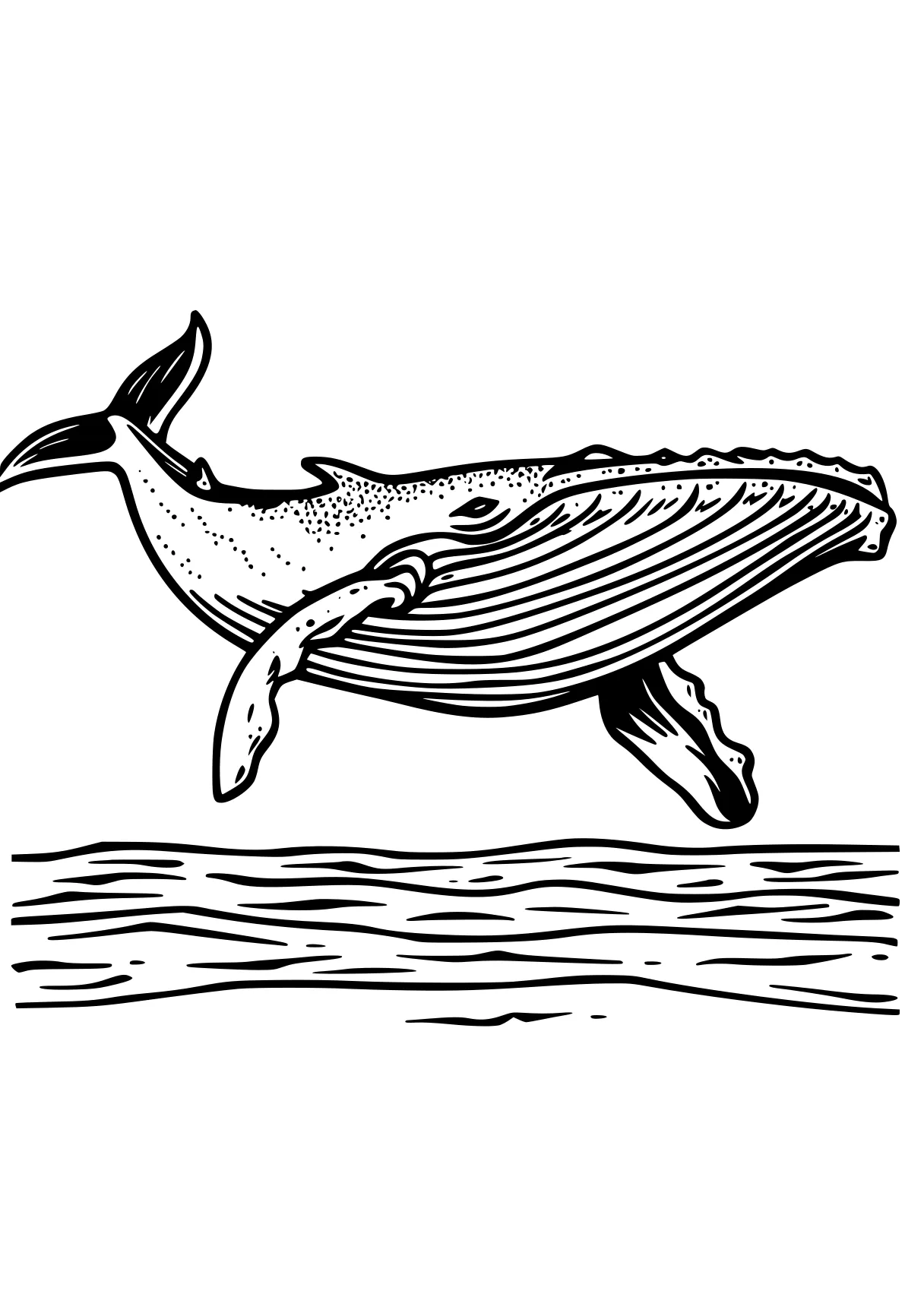 whale coloring page dolphin, whale, whales, orca, narwhal, free downloads