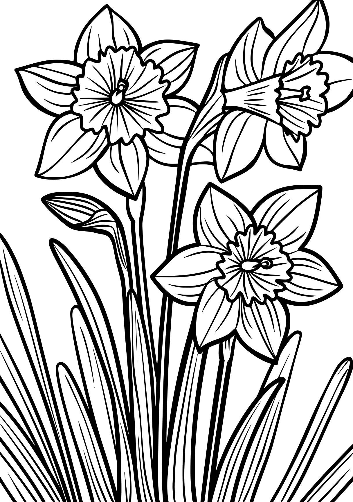 free printable pictures, flowers, tulip, flower, coloring page downloads