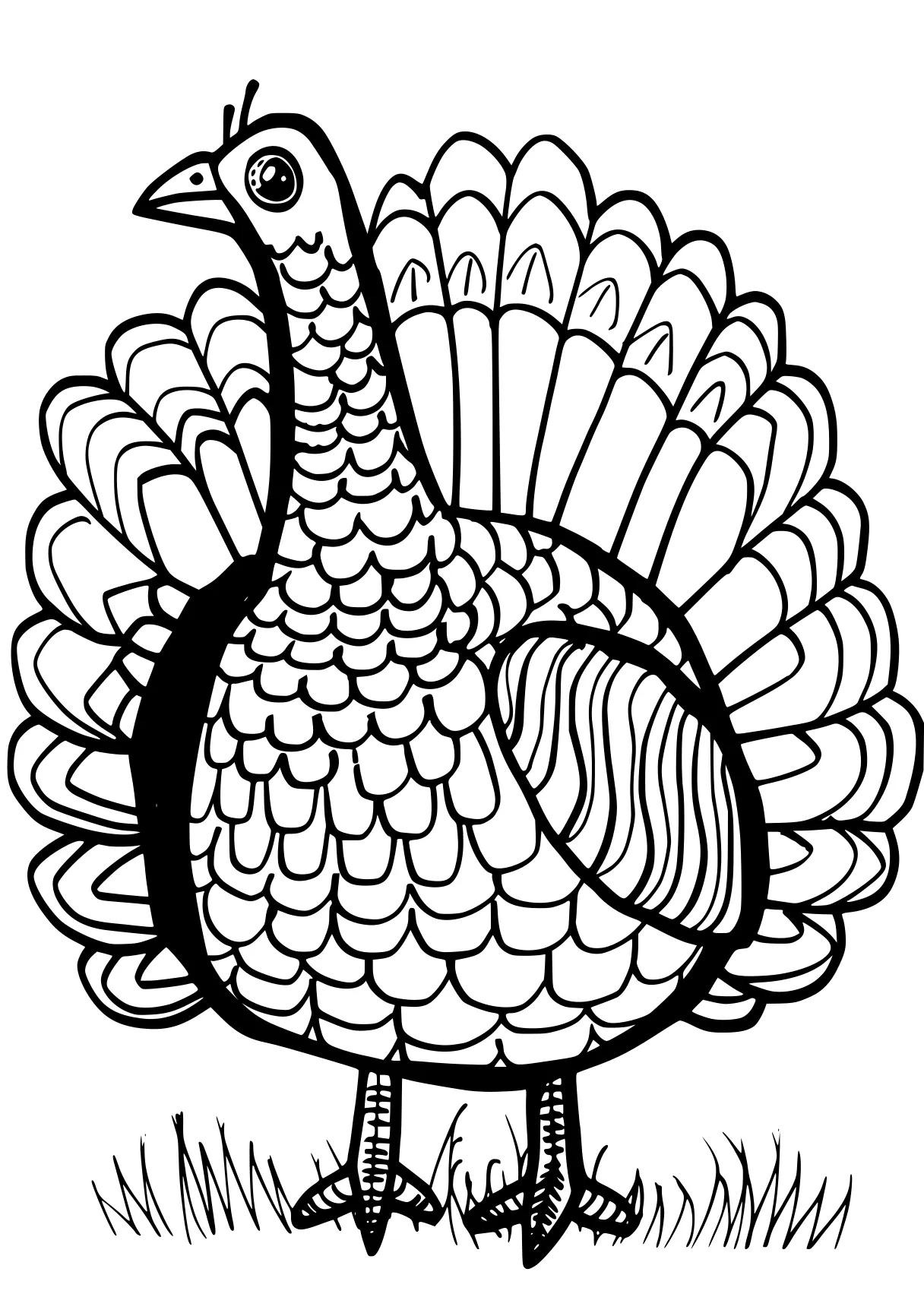 turkey coloring thanksgiving, turkey, rooster, size, peacock, free page downloads