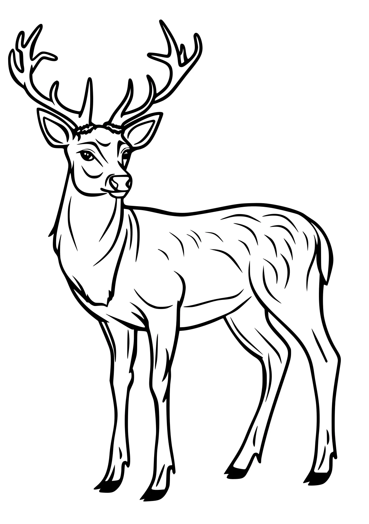 animal coloring pages deer, reindeer, rudolph, bambi, moose, free page downloads