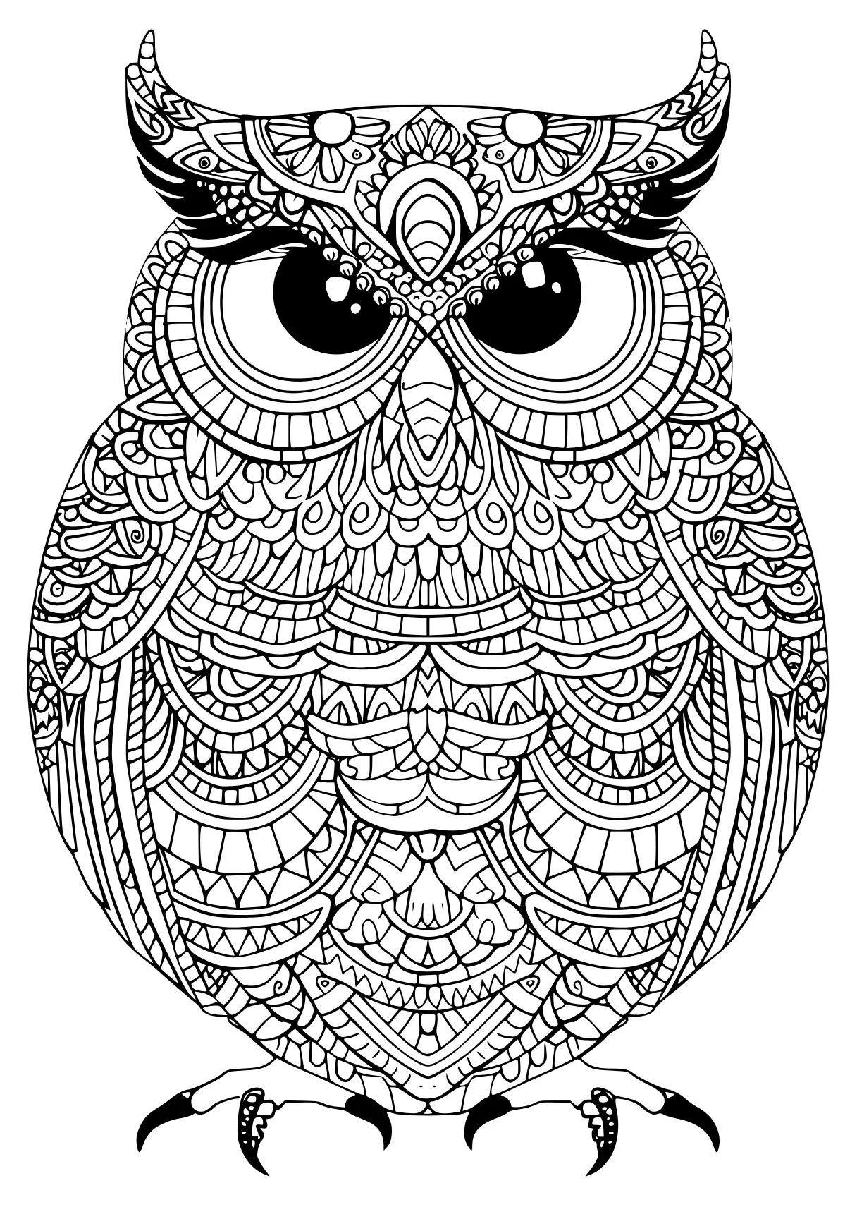 owl coloring sheet owl, zentangle, illustrator, free page downloads