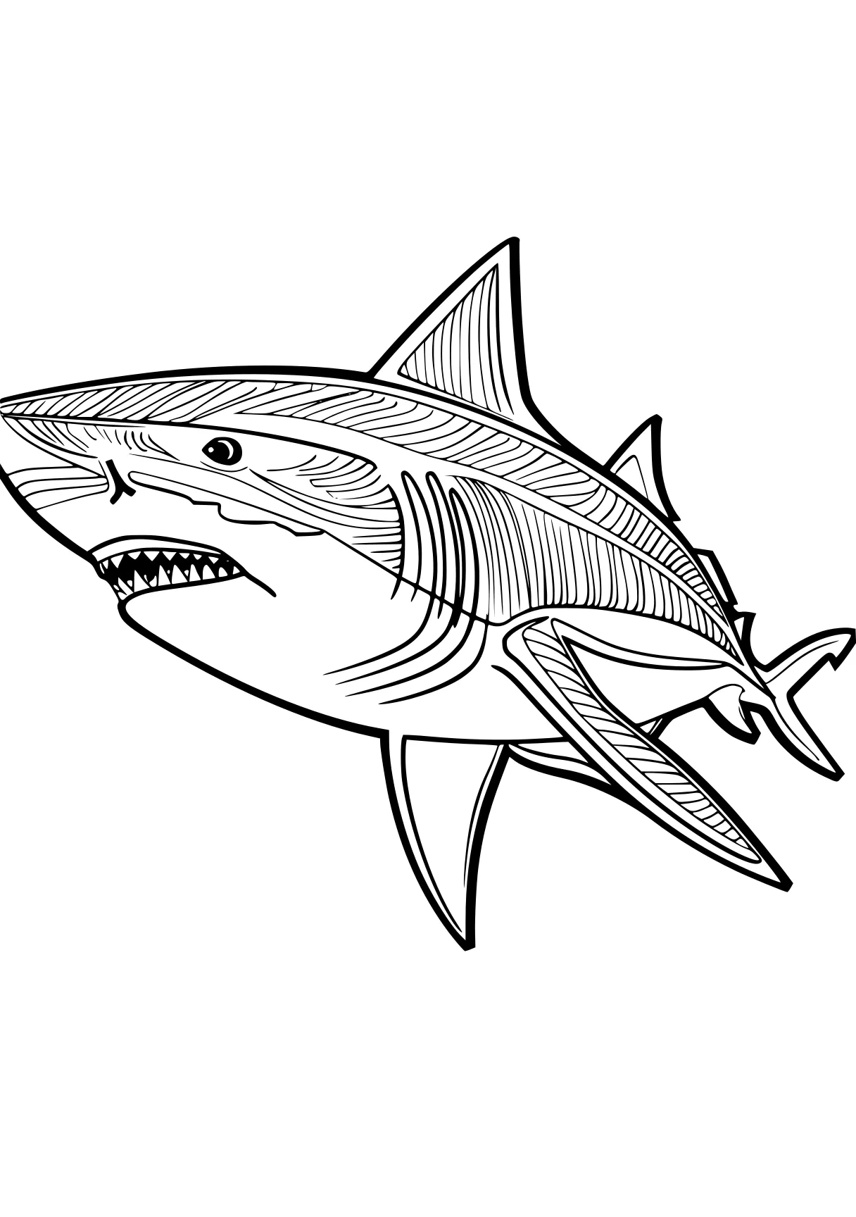 shark coloring page megalodon, shark, fish, sharks, jonah, free downloads