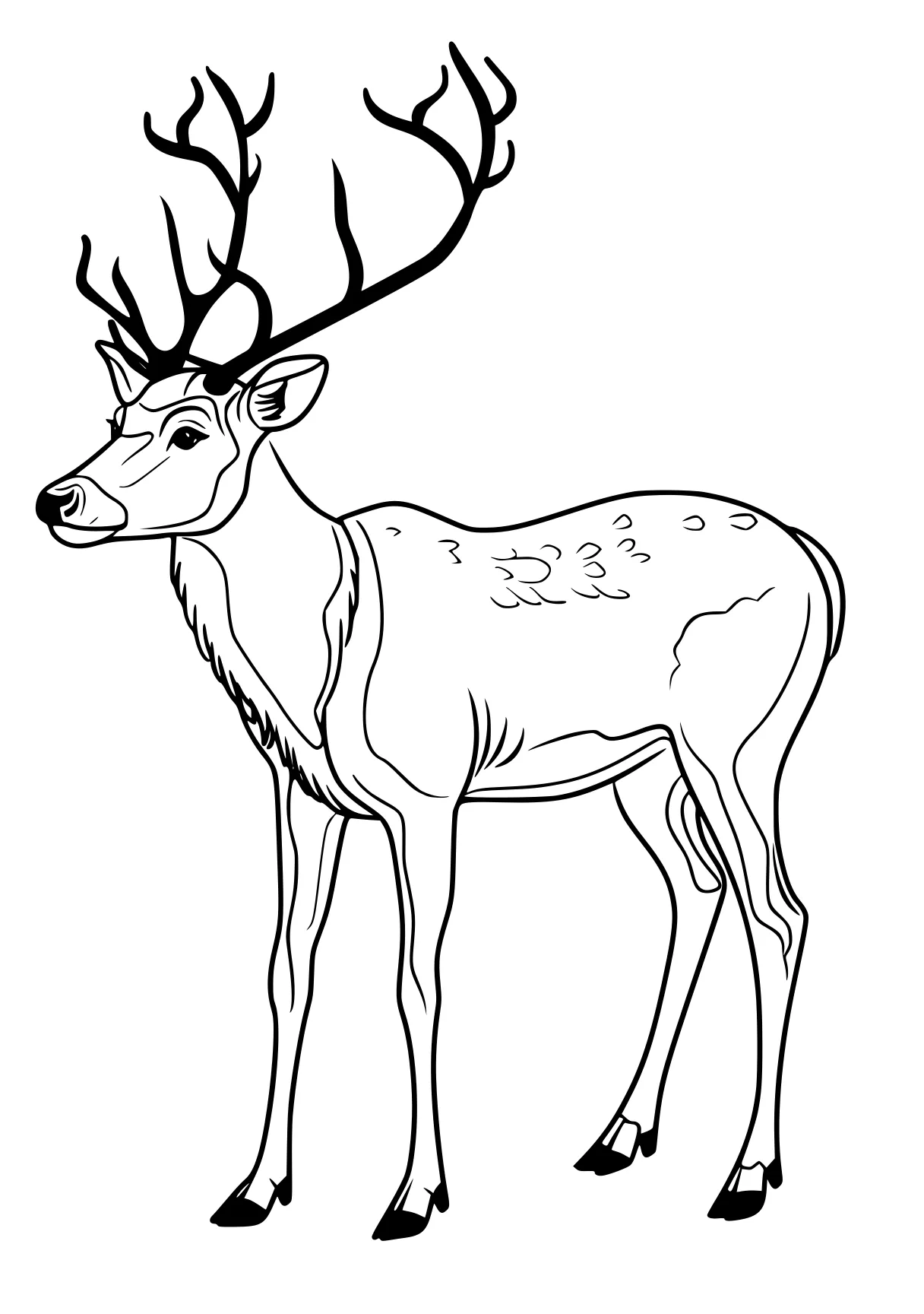 reindeer coloring page deer, rudolph, reindeer, bambi, illustrator, free downloads