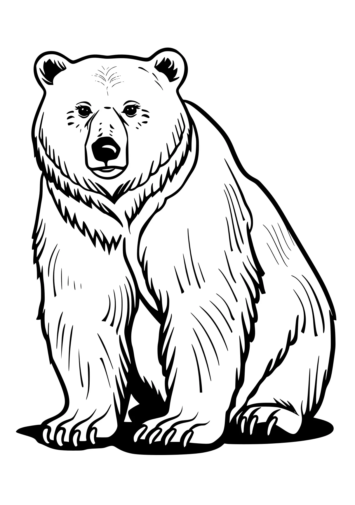 bear coloring page bear, polar, bears, winnie, illustrator, free downloads