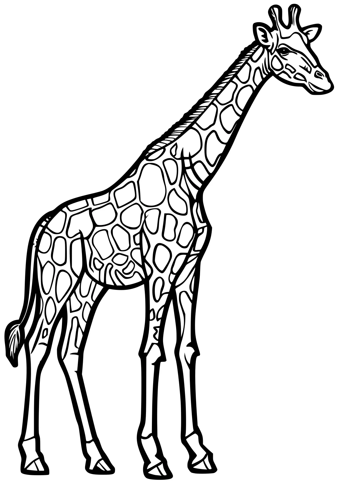 giraffe coloring pages giraffe, llama, brachiosaurus, camel, zebra, free page downloads