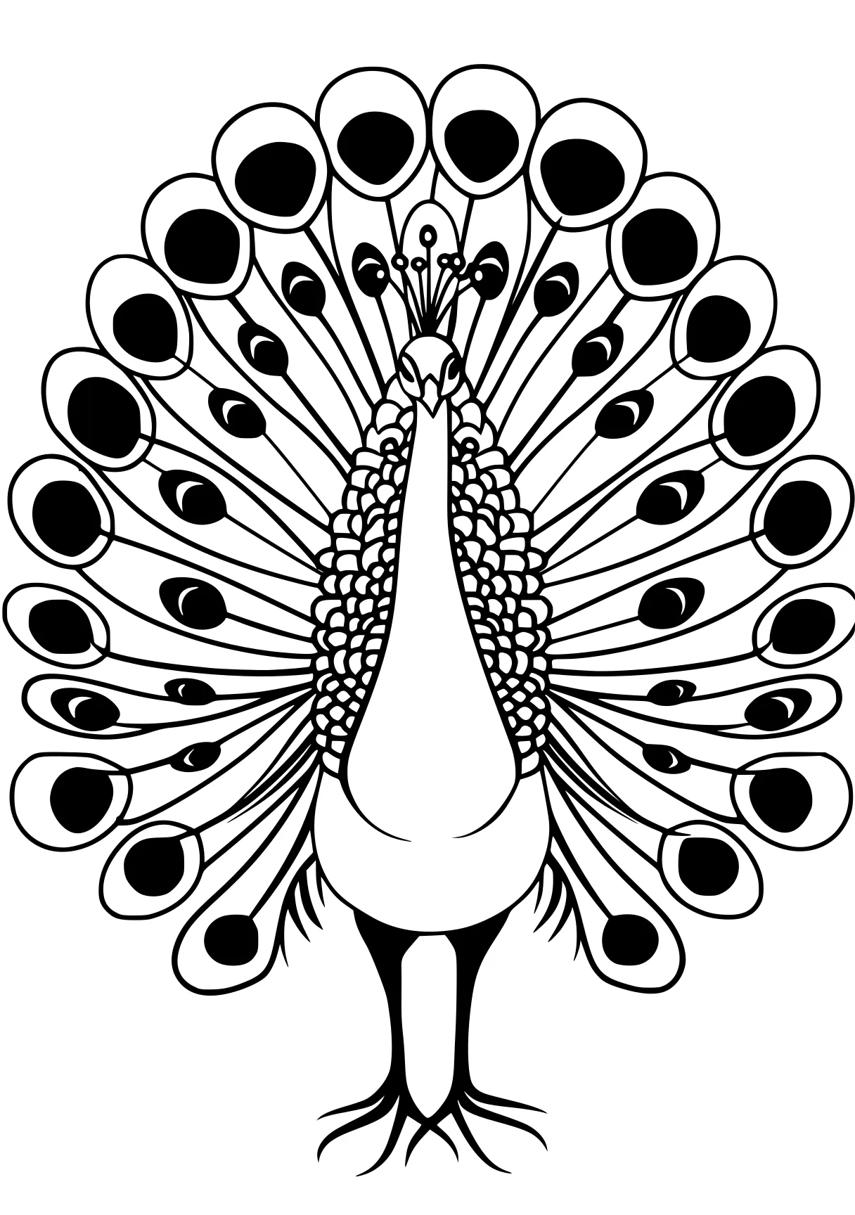 peacock coloring peacock, feathers, zentangle, rooster, free page downloads