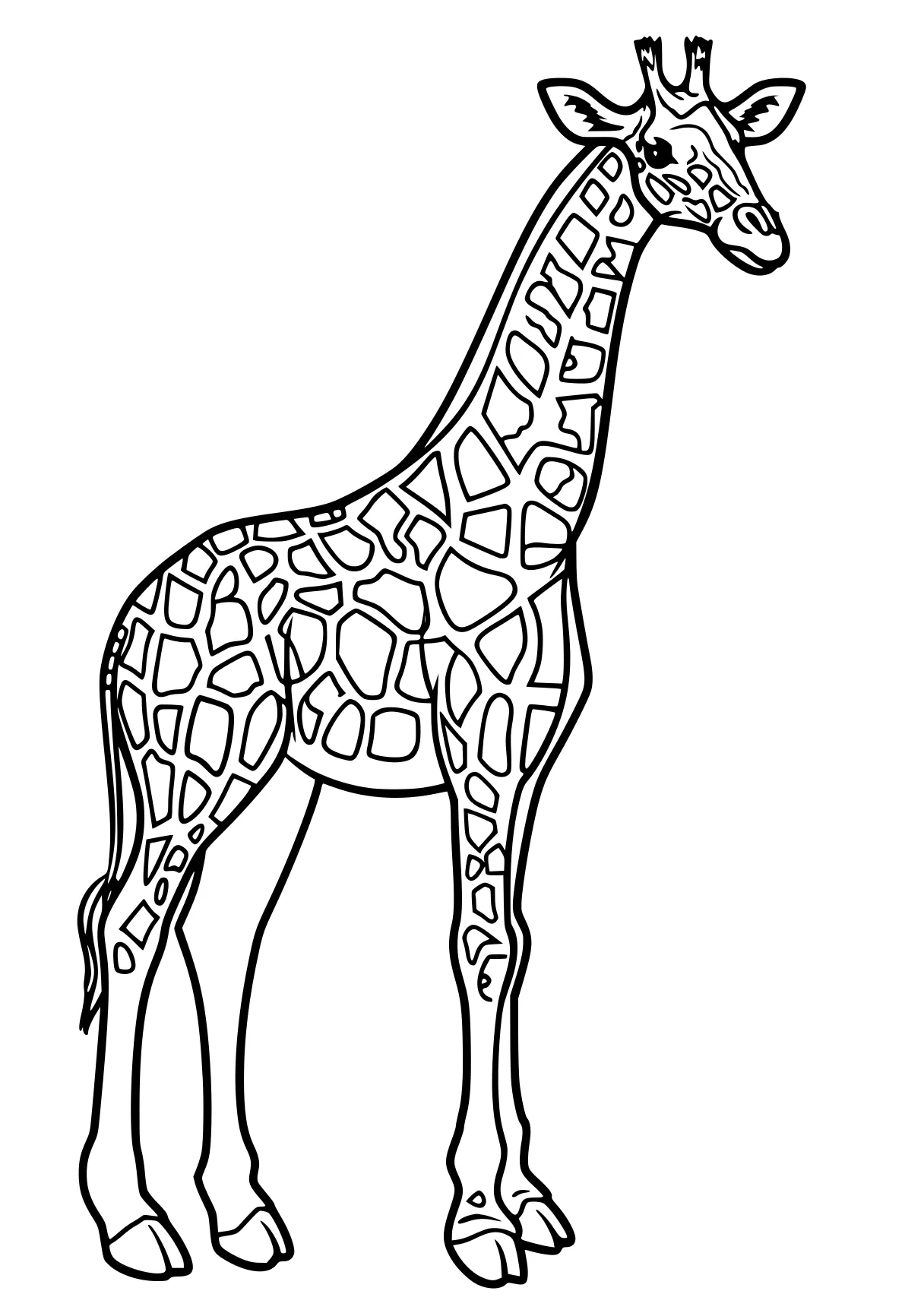 giraffe coloring pages giraffe, brachiosaurus, llama, camel, horse, free page downloads