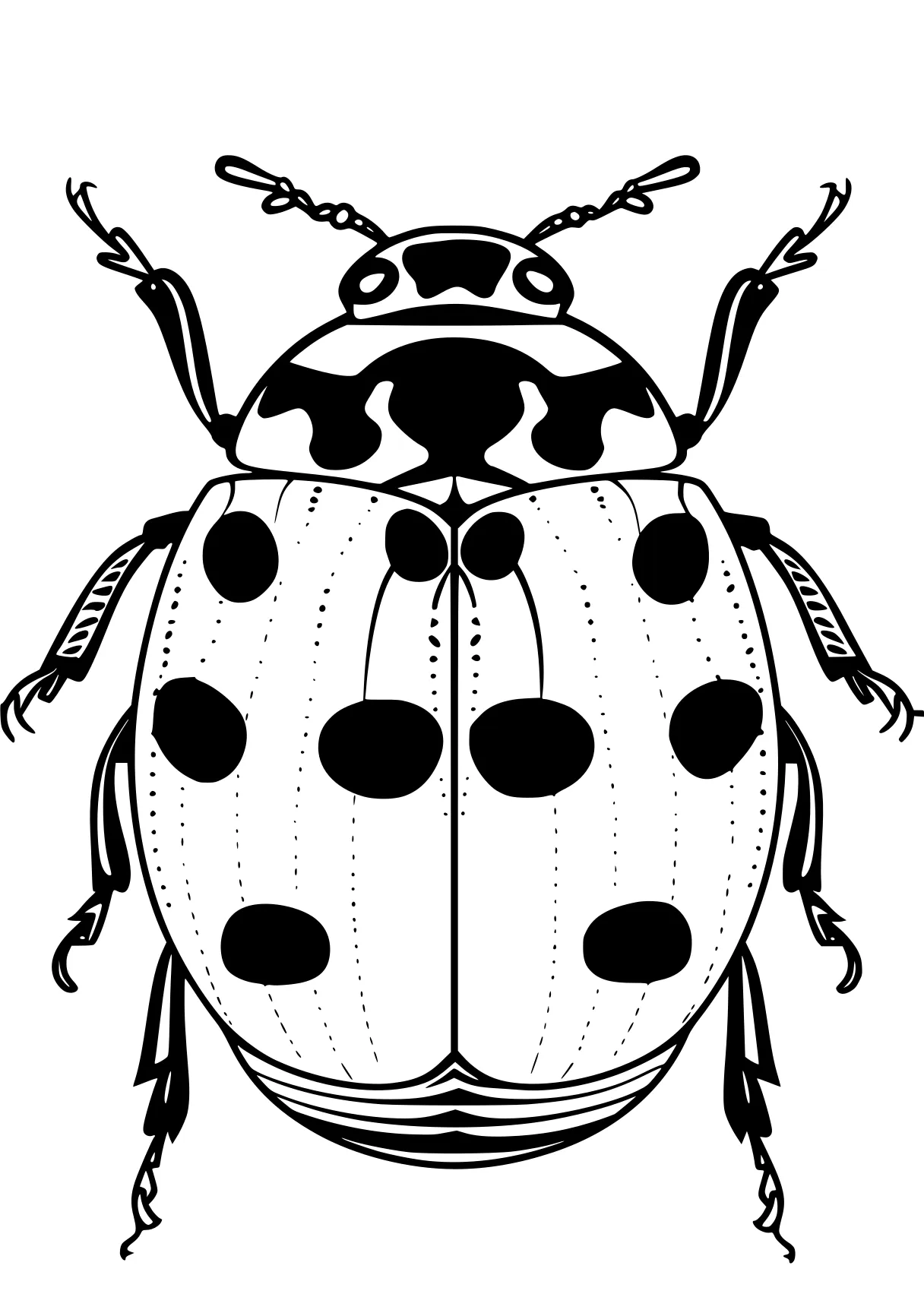 ladybug coloring page insect, insects, ladybug, bugs, adult, free downloads