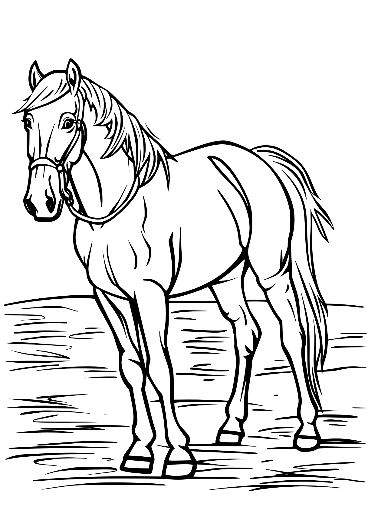 horse coloring sheet horse, pony, unicorn, pegasus, free page downloads