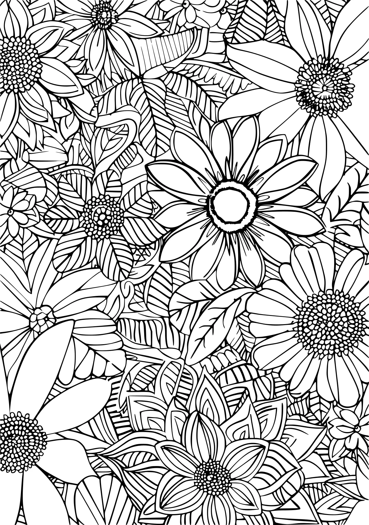 bluey colouring pages, zentangle, colouring, sunflower, free coloring page downloads