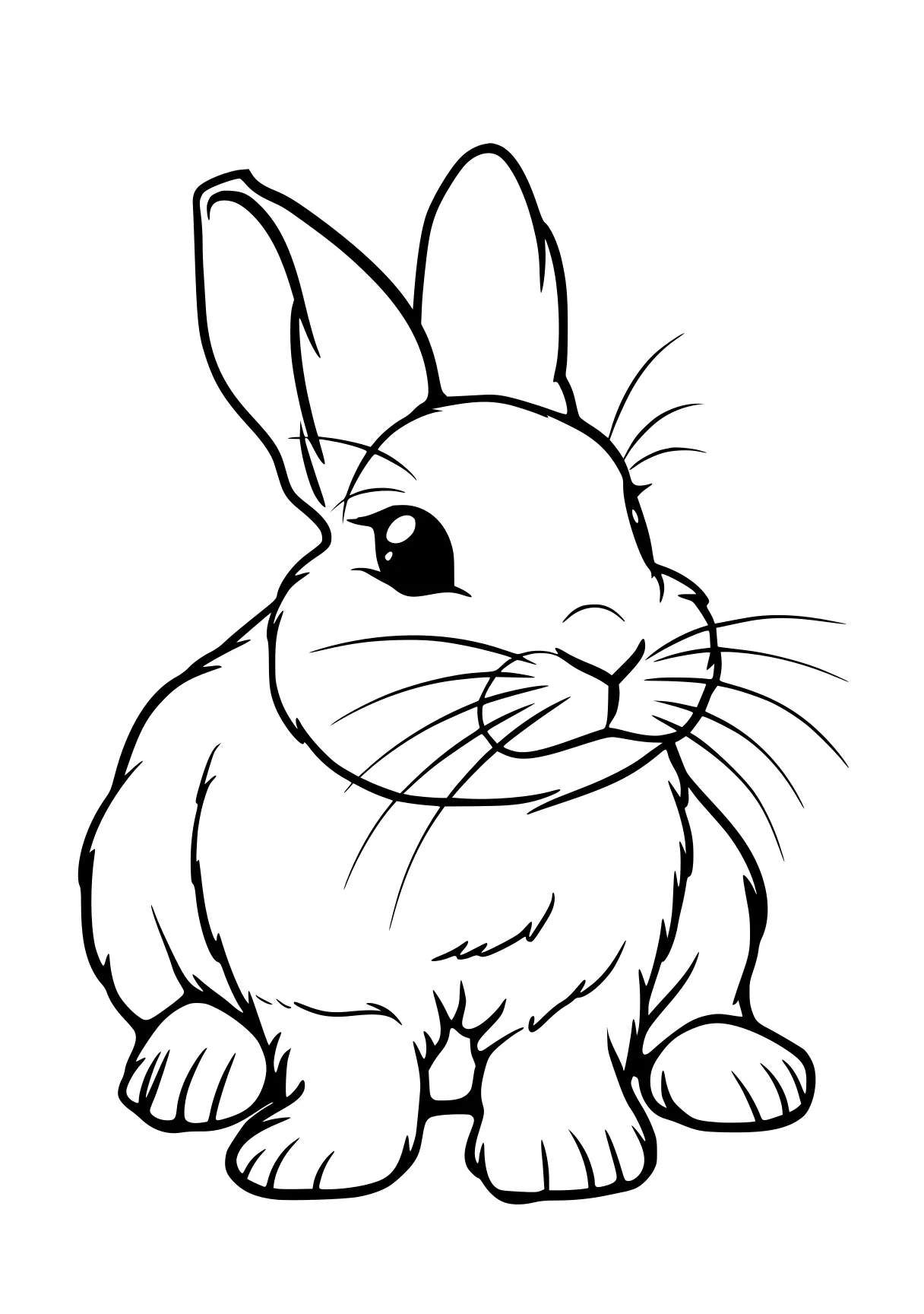 rabbit coloring pages rabbit, bunny, carrot, bunzo, illustrator, free page downloads