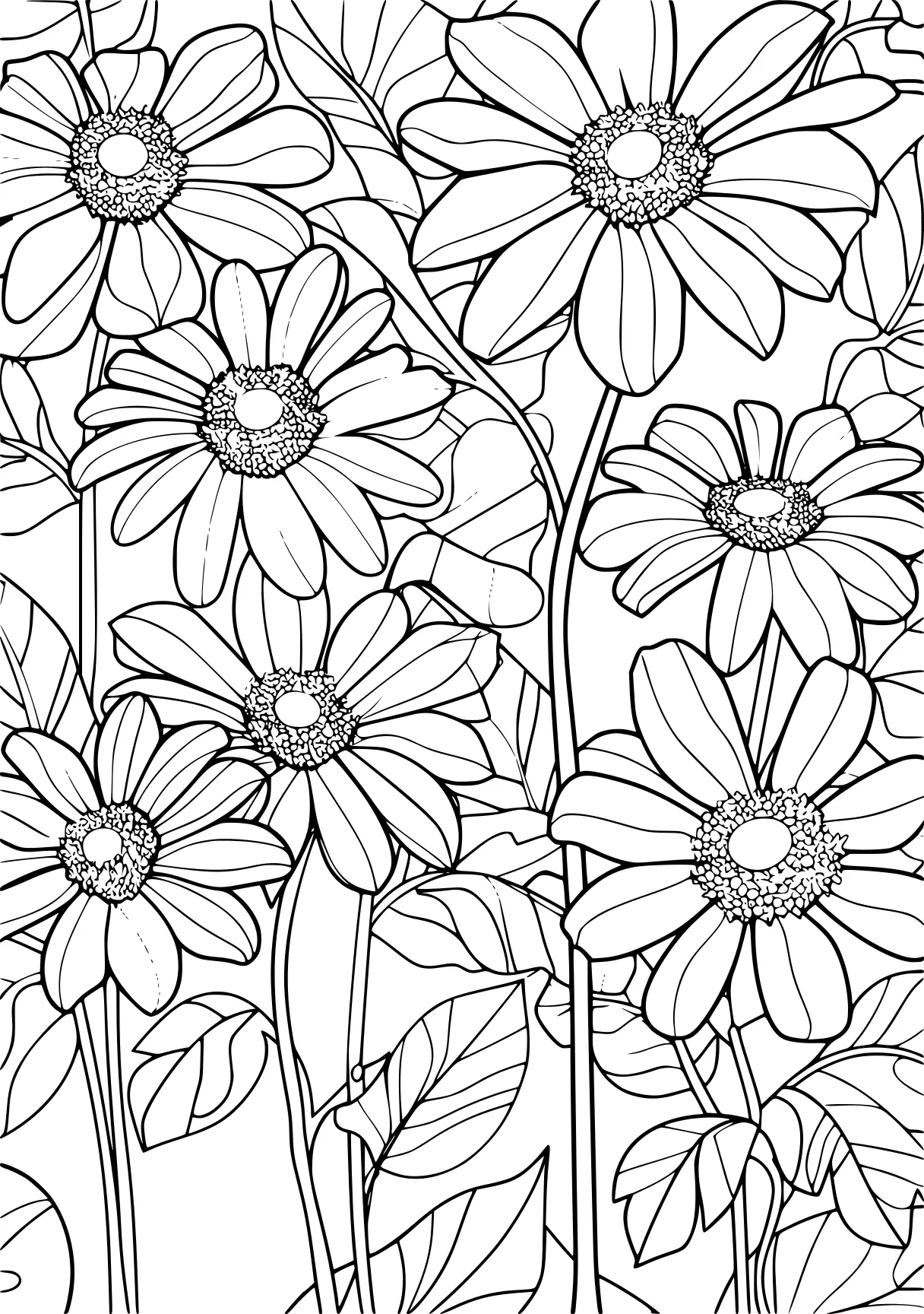 free printable adult coloring pages, pattern, colouring, flowers, page downloads