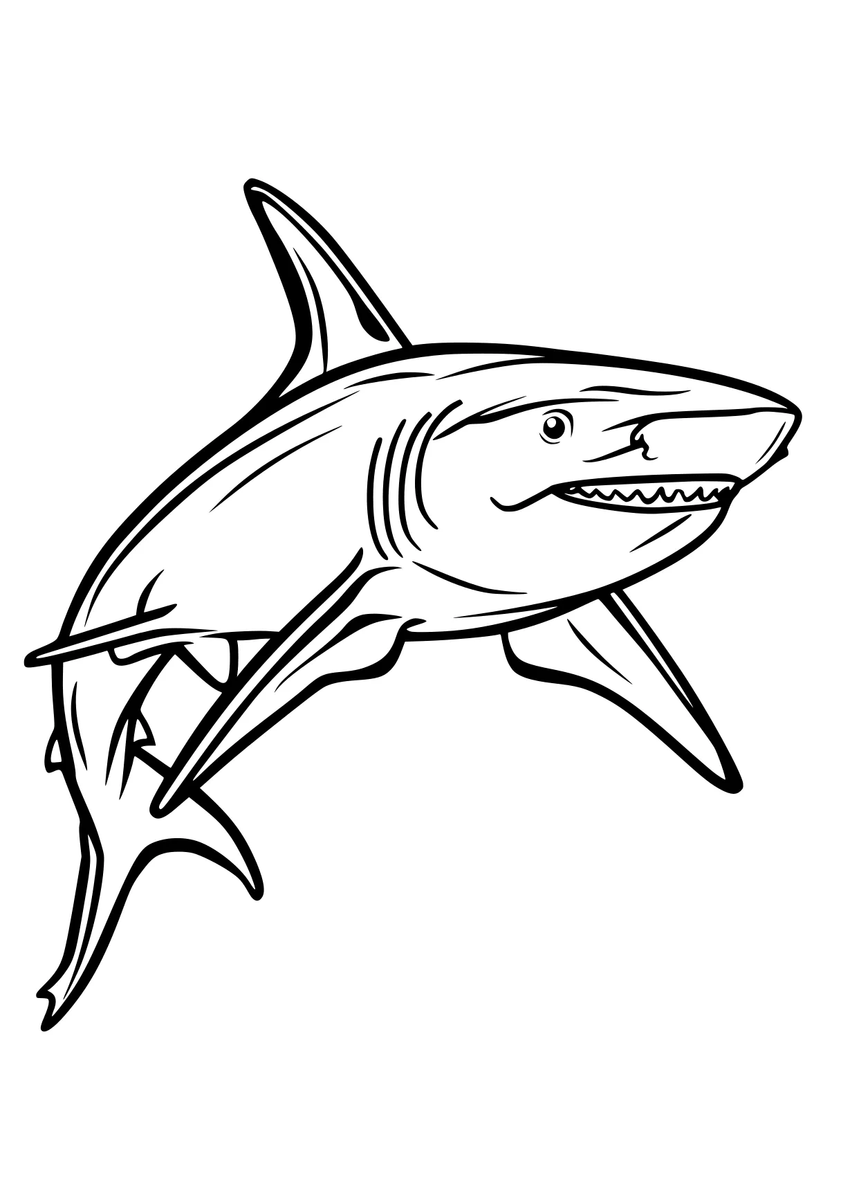 shark coloring sheet megalodon, shark, sharks, orca, fish, free page downloads