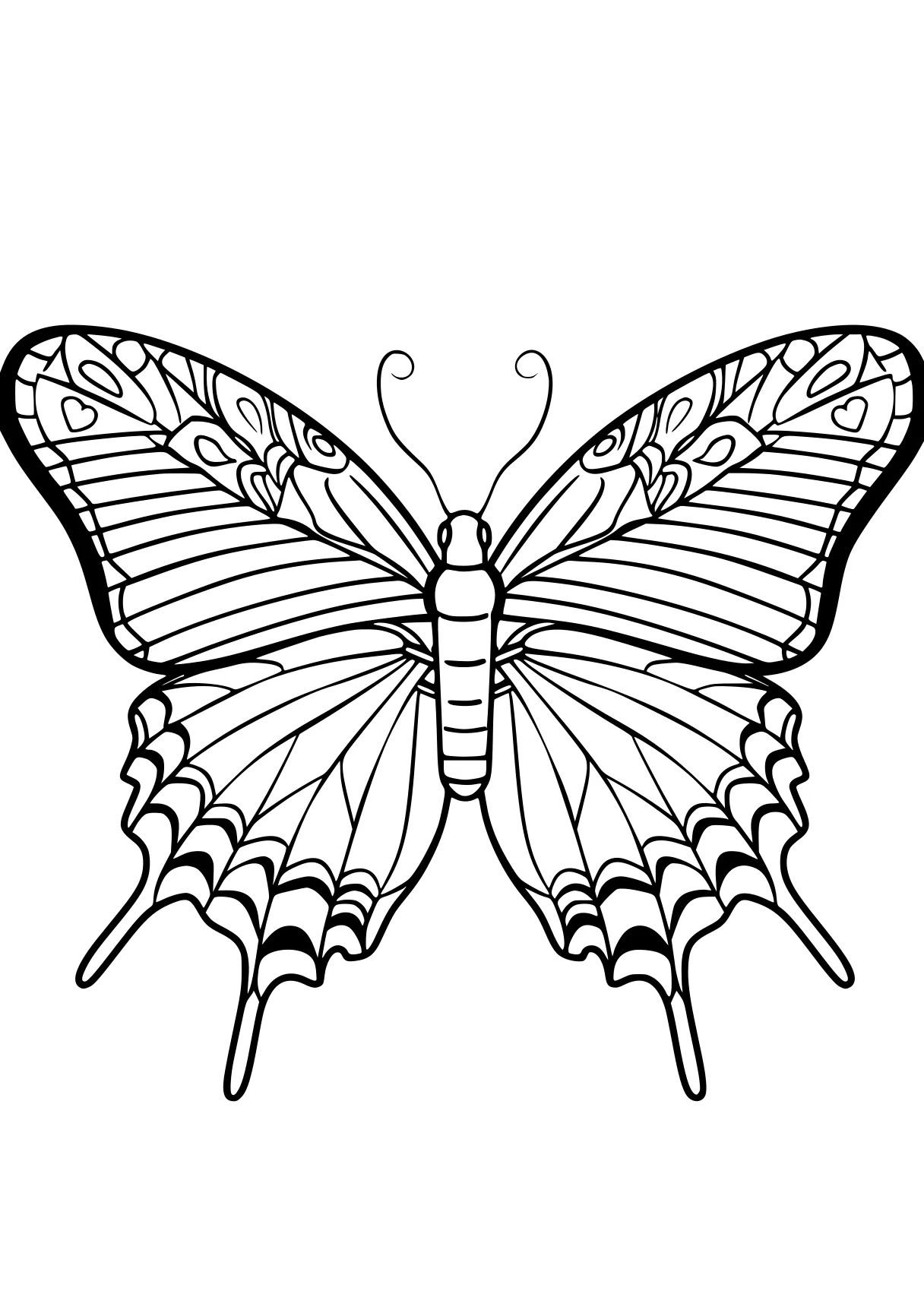 butterfly coloring butterfly, insect, butterflies, insects, adult, free page downloads