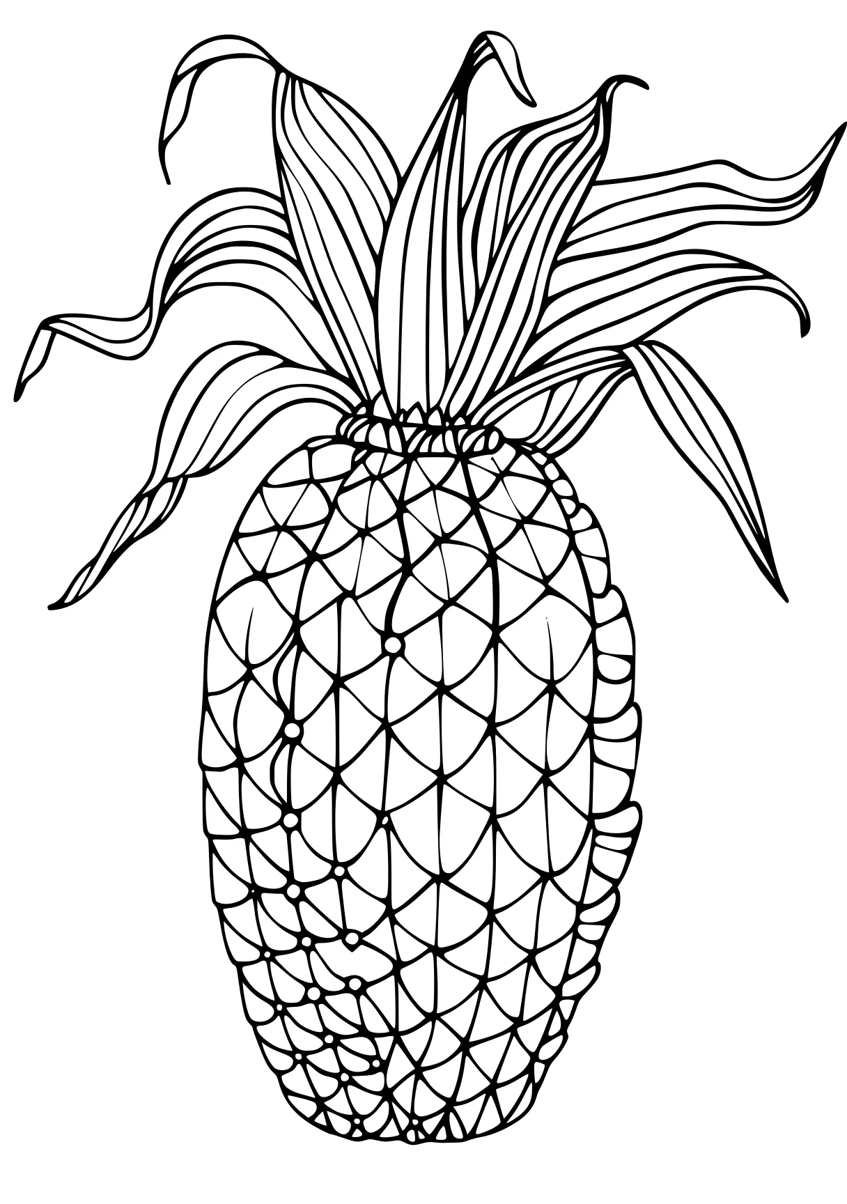 adult coloring books online pineapple, zentangle, fruit, fruits, acorn, free page downloads