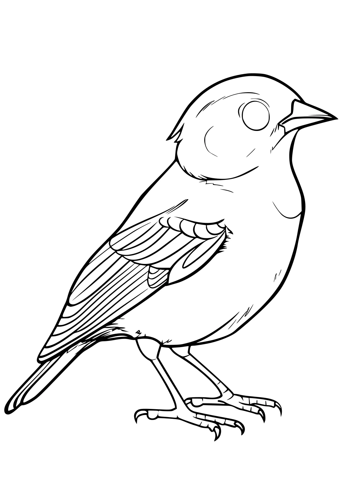 bird coloring pages for kids, KIDS page kids style of book, empty background, super thick black vector lines, and white, Black-and-white Bold Outlined Thick-lined Flat 2D, Simple, Clean, Cartoonish, Unfilled, Solid, Playful  shading shadow text fonts letters watermark words typography slogans strokes sketch signature gray grey dither dithering grayscale 70:99