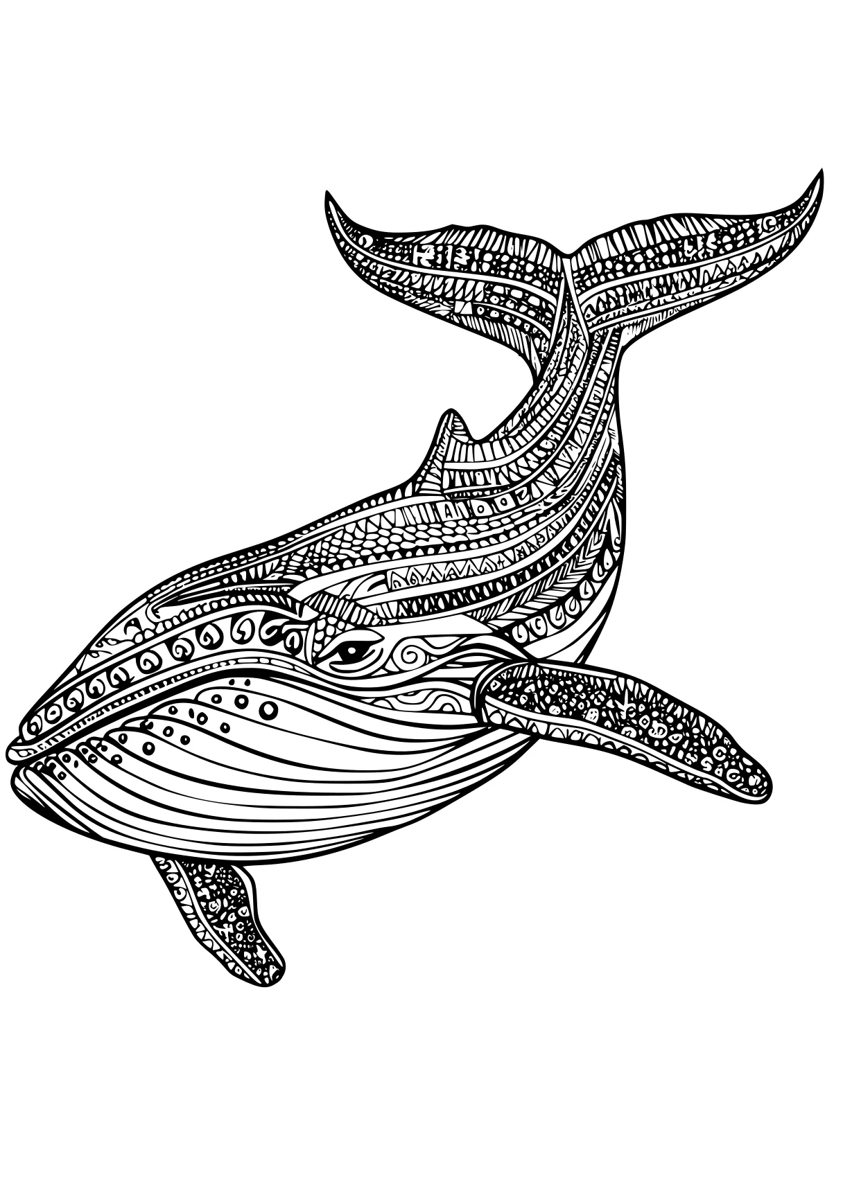 whale coloring pages mosasaurus, whale, whales, megalodon, dolphin, free page downloads