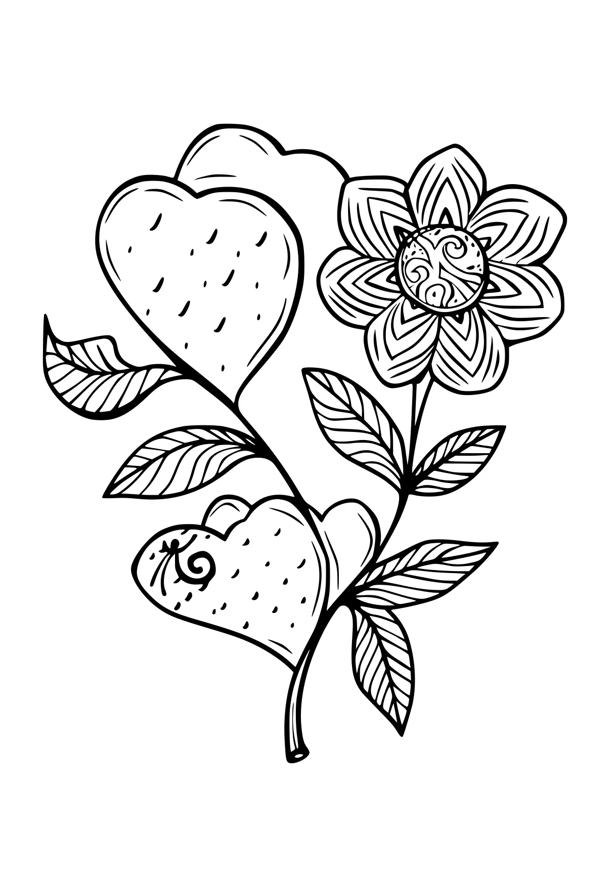 free coloring pages valentines day, zentangle, illustrator, acorn, page downloads