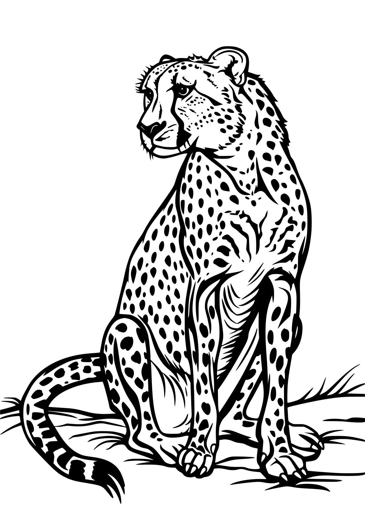 cheetah coloring page jaguar, cheetah, leopard, panther, lion, free downloads