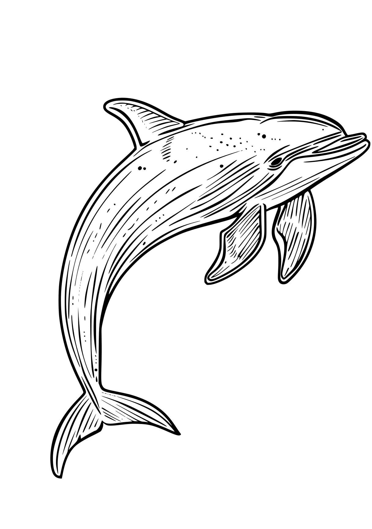 dolphin coloring pages whale, dolphin, whales, mosasaurus, shark, free page downloads