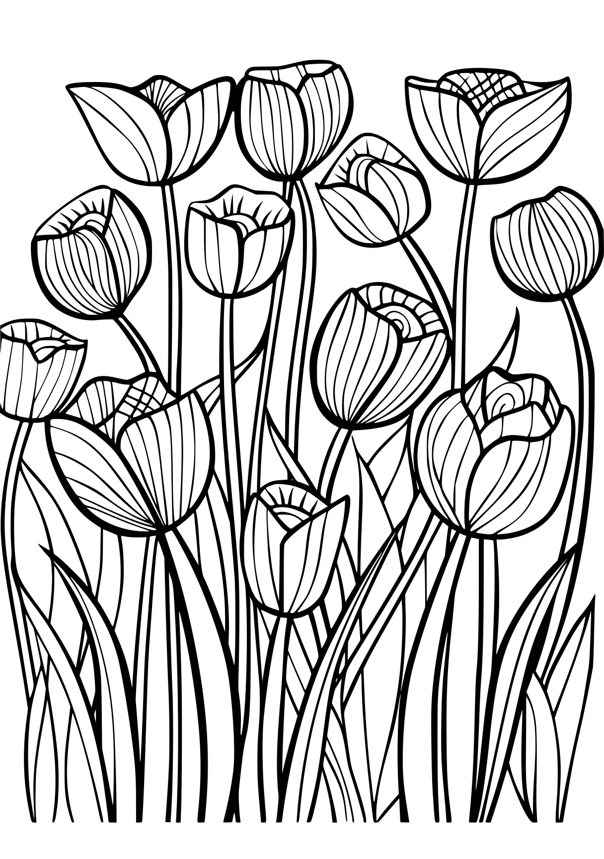 adult coloring books online tulip, colouring, illustrator, free page downloads